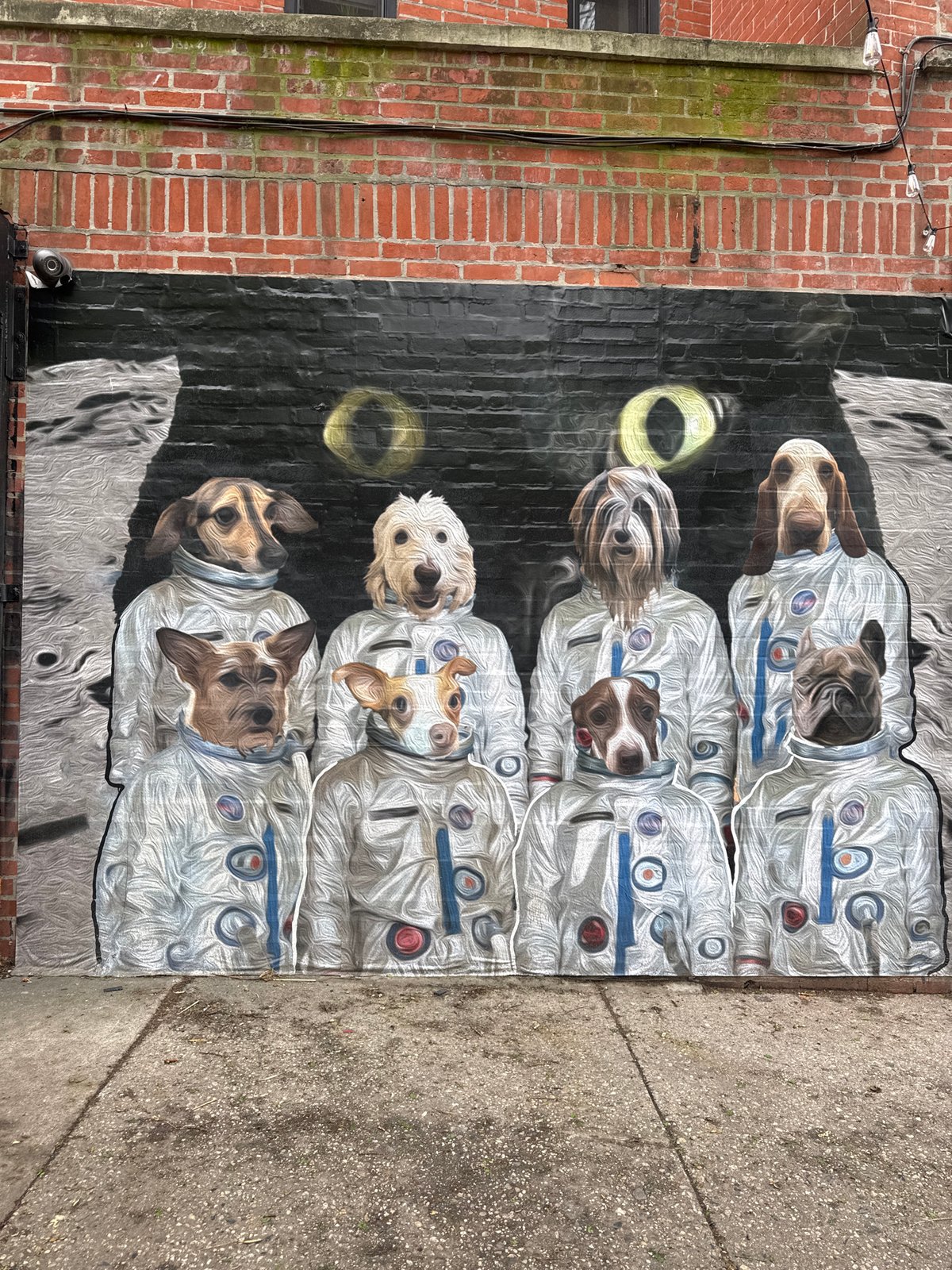 NYC street scenes: astronaut dog mural, multilingual grocery store