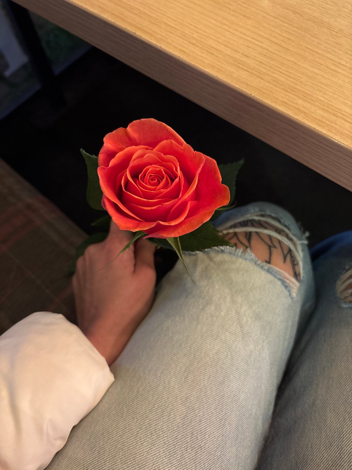 Sofia resident captures quiet domestic moments with rose, cat, computer