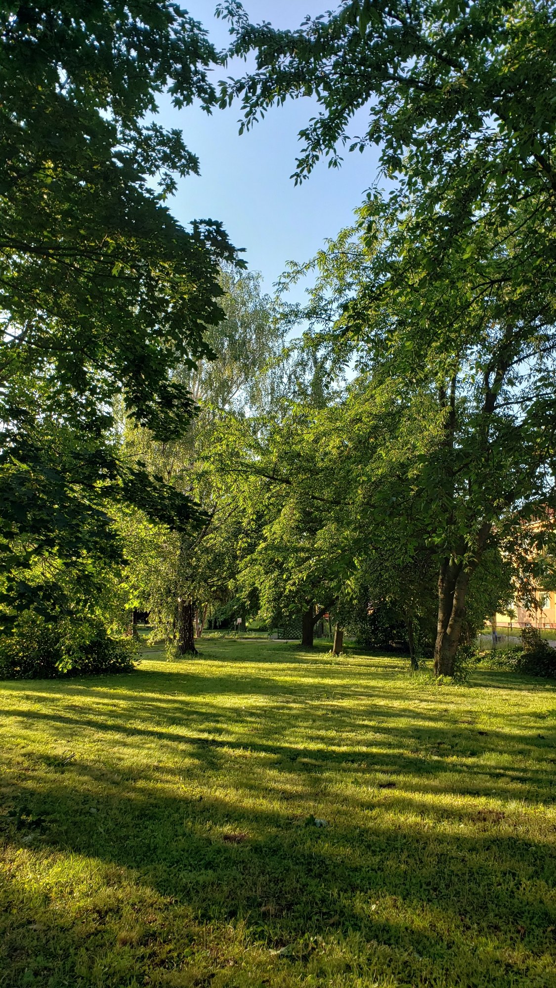 Afternoon in a Prešov park, from trees to the Torysa bridge