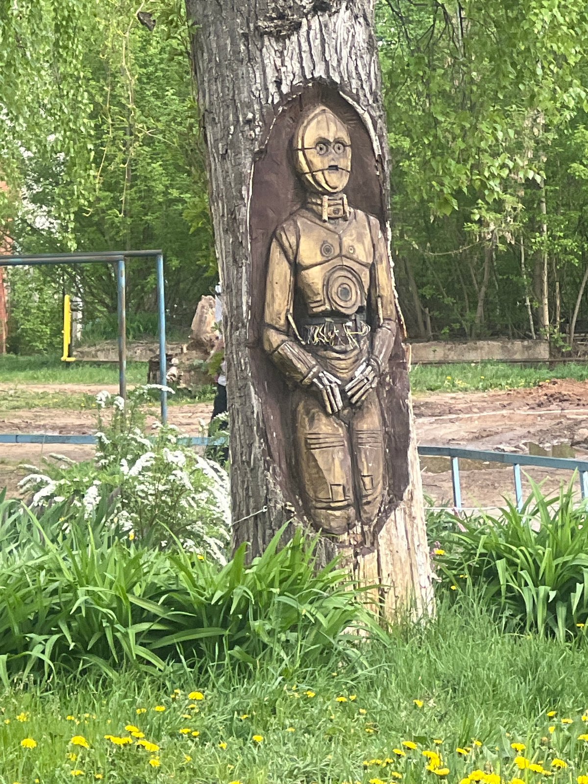 Robot tree carving and tabby cat photographed in Chaikovsky