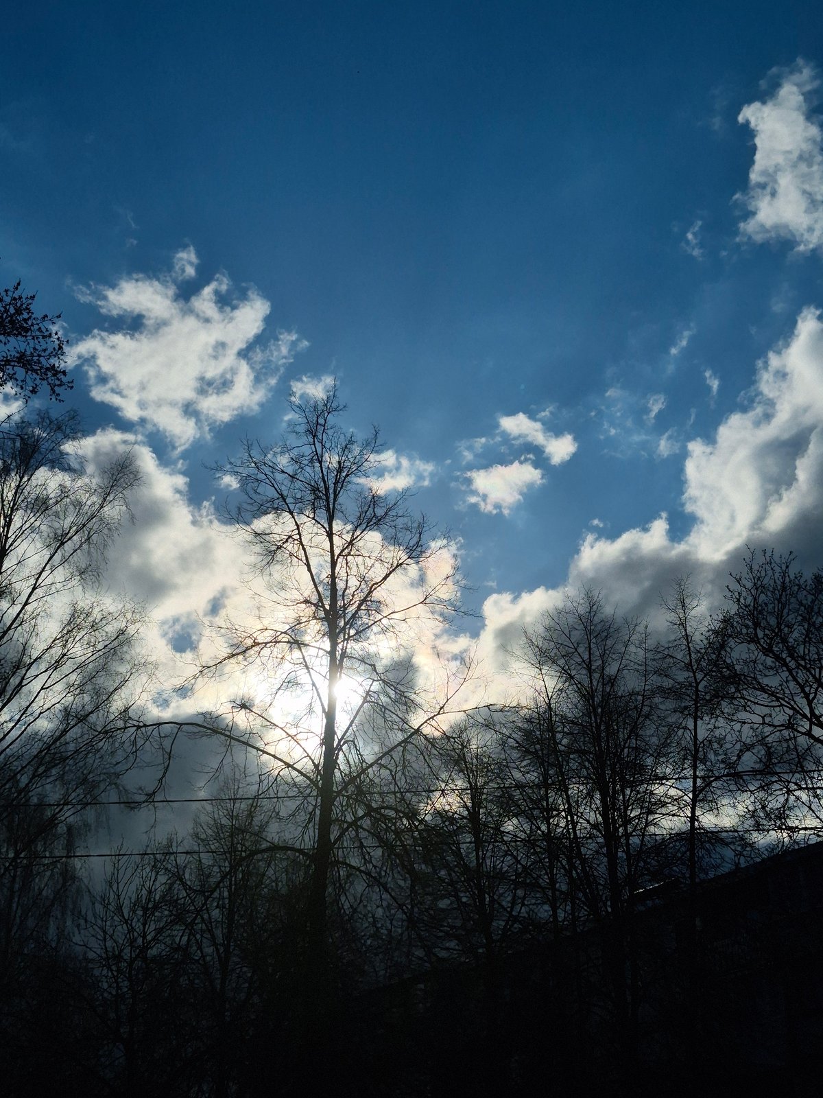 Spring skies observed through bare trees in Chaikovsky, Russia