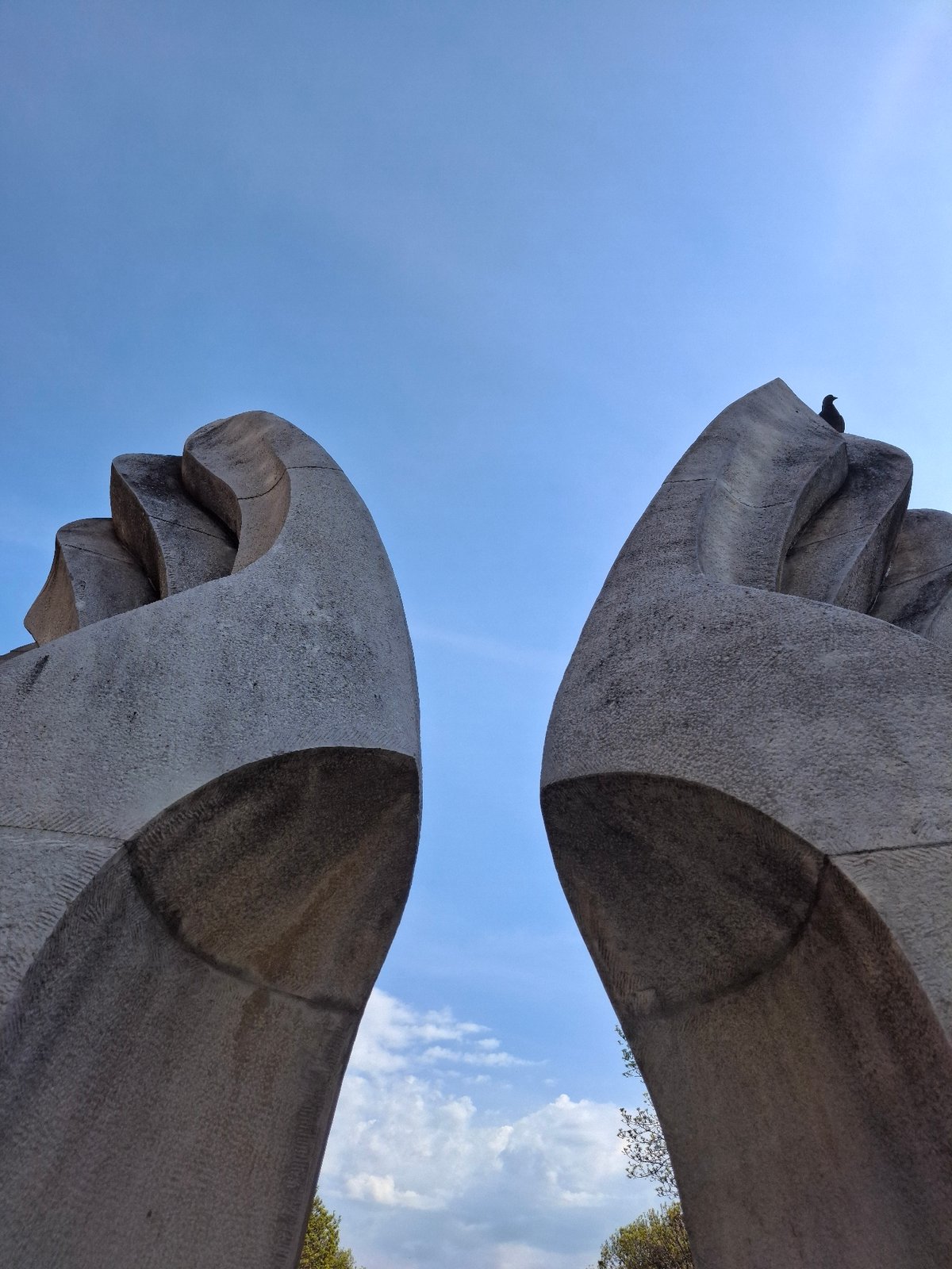 Massive curved stone structures documented at remote coordinates