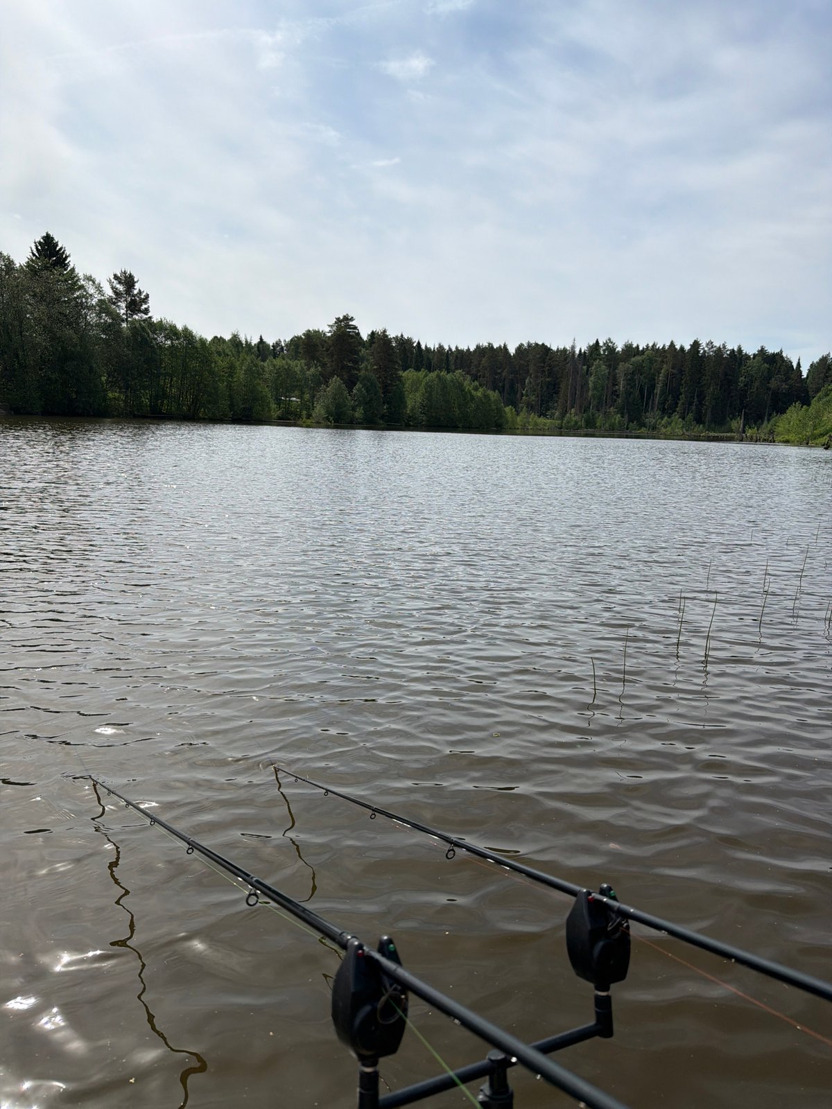 Dawn fishing session documented at Prikamskii lake, Russia