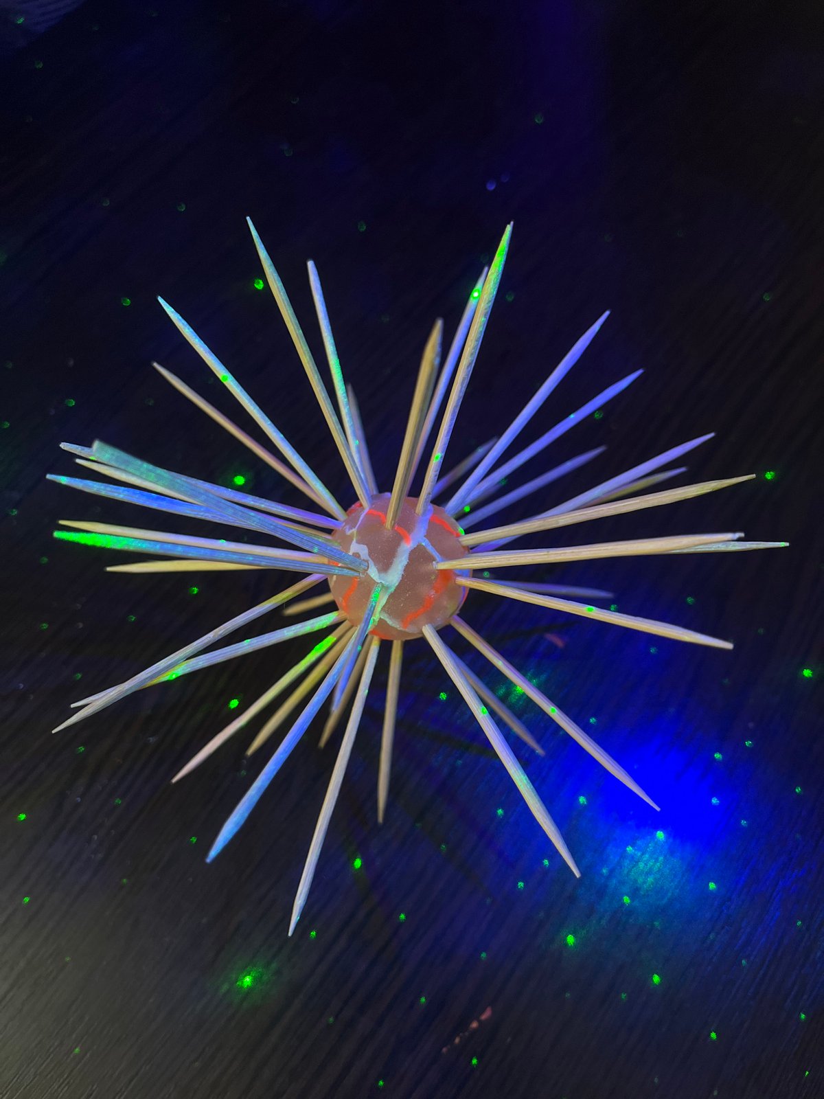Homemade coronavirus model with toothpick spikes displayed in Krasnodar