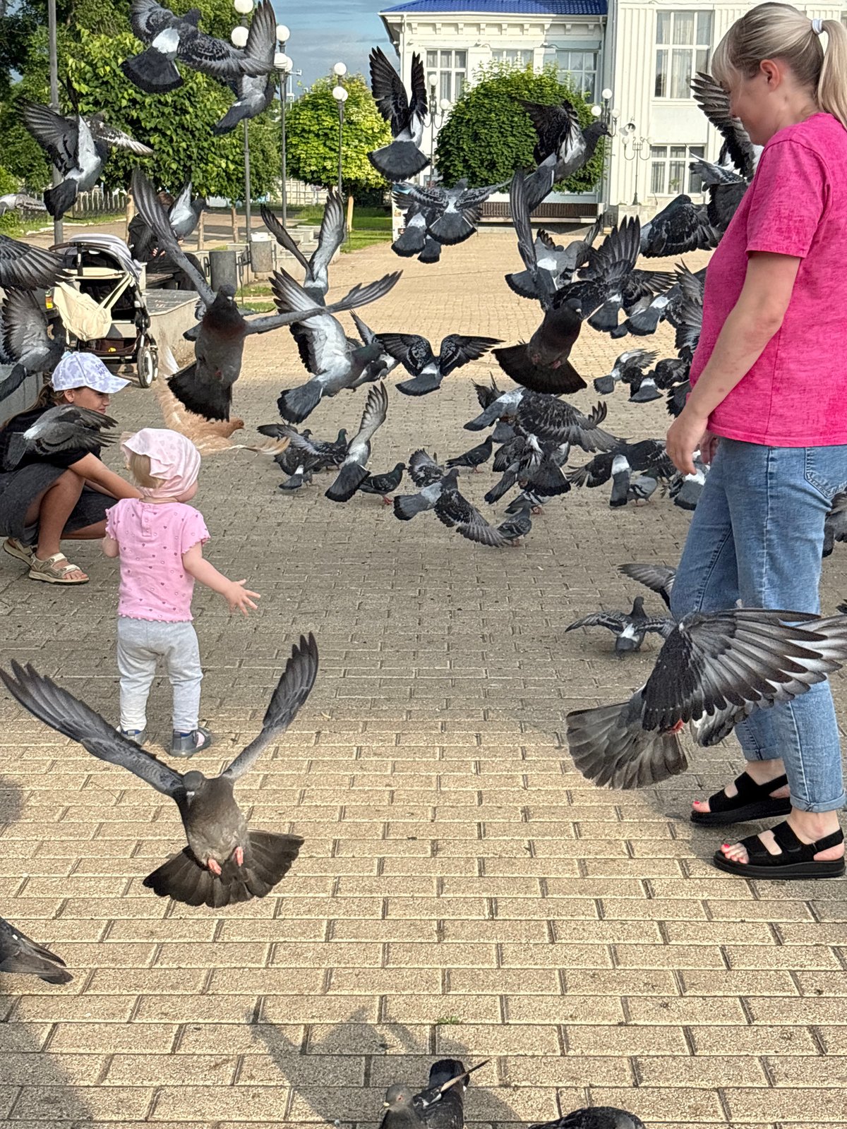 Pigeon feeding and daily life moments in Chaikovsky, Russia