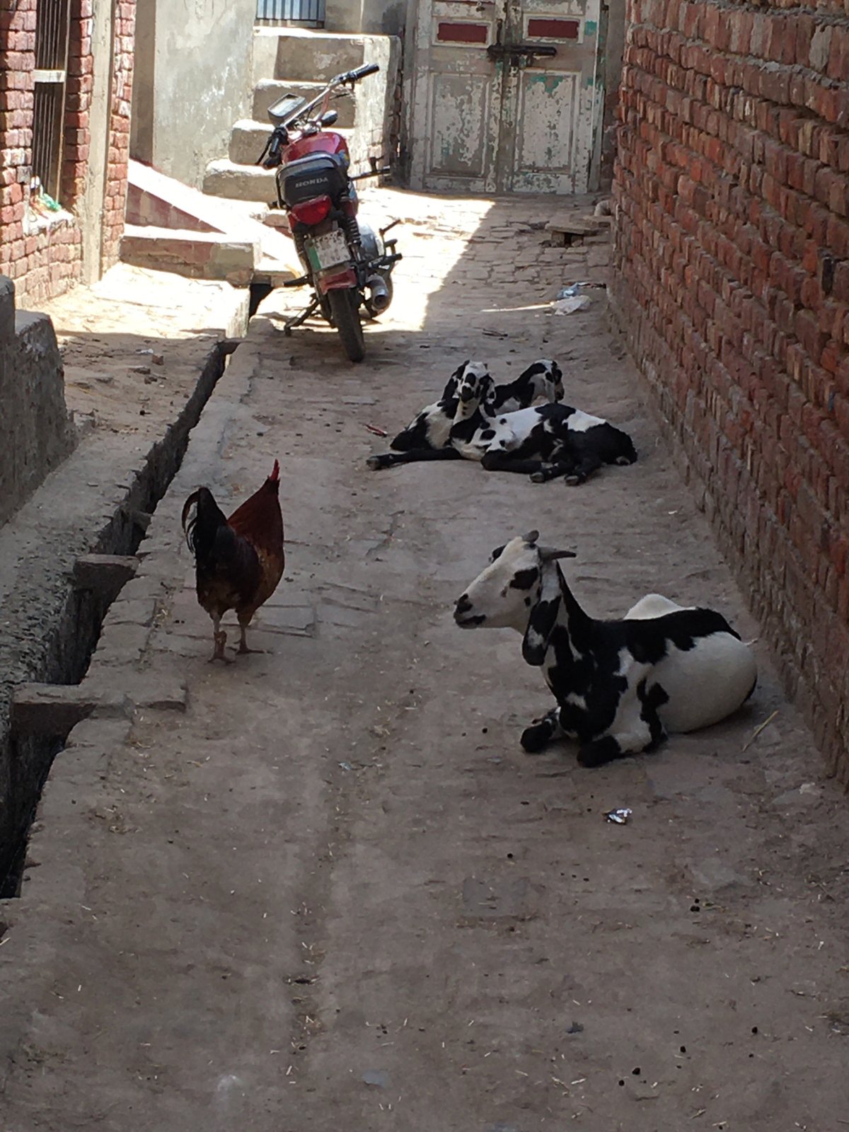 Morning life documented in Karamsar, Pakistan tailoring district