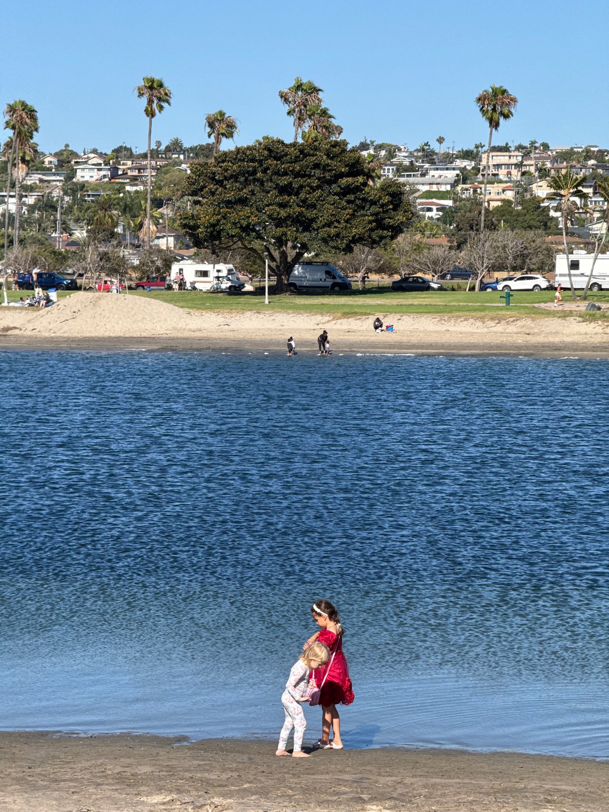 Sun, palms, and a hydrofoil on the San Diego waterfront
