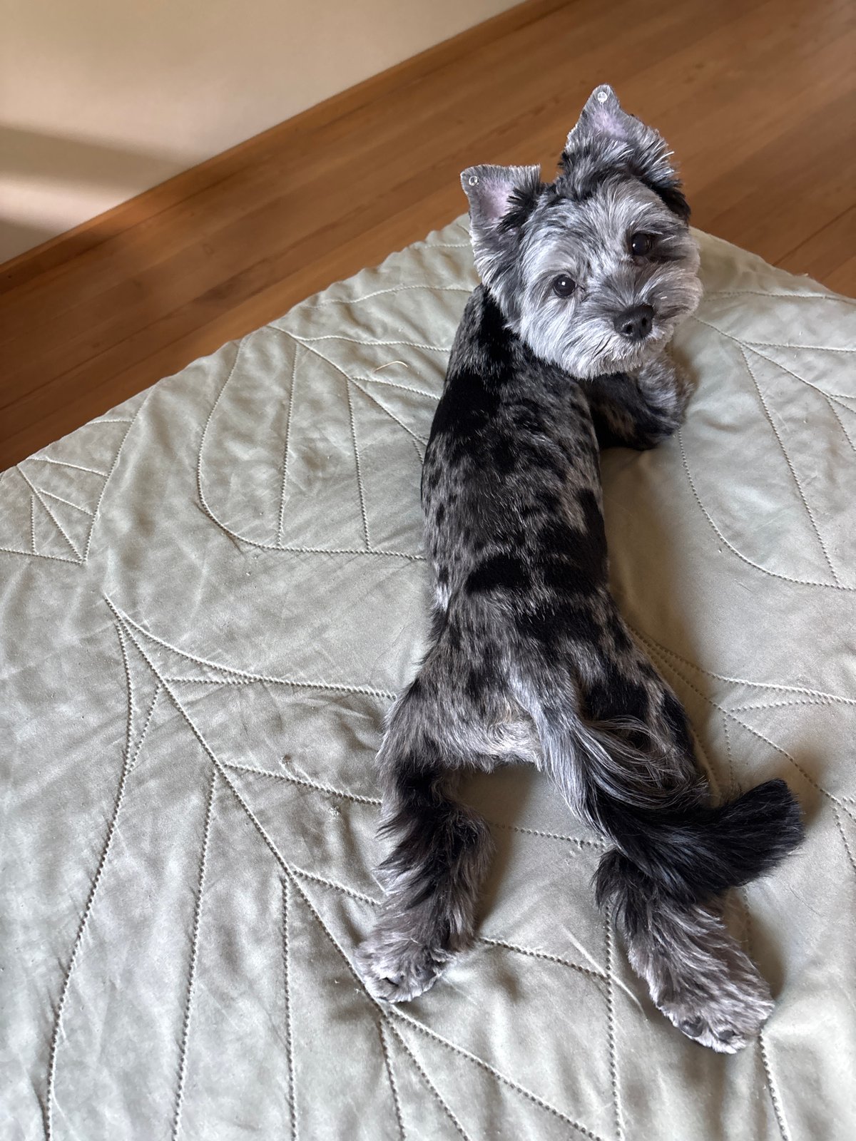 Daily life moments captured in Chaikovsky: selfies, soccer, pets