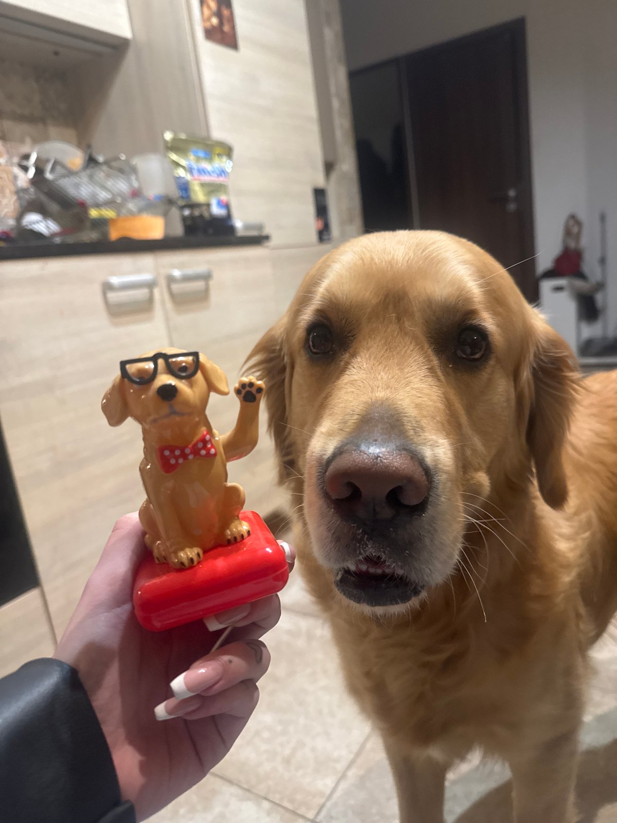 Woman hugs golden retriever in Sofia home