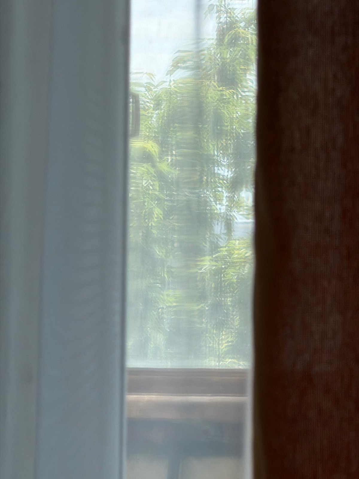 Morning window view and fruit hashtag captured in Moscow