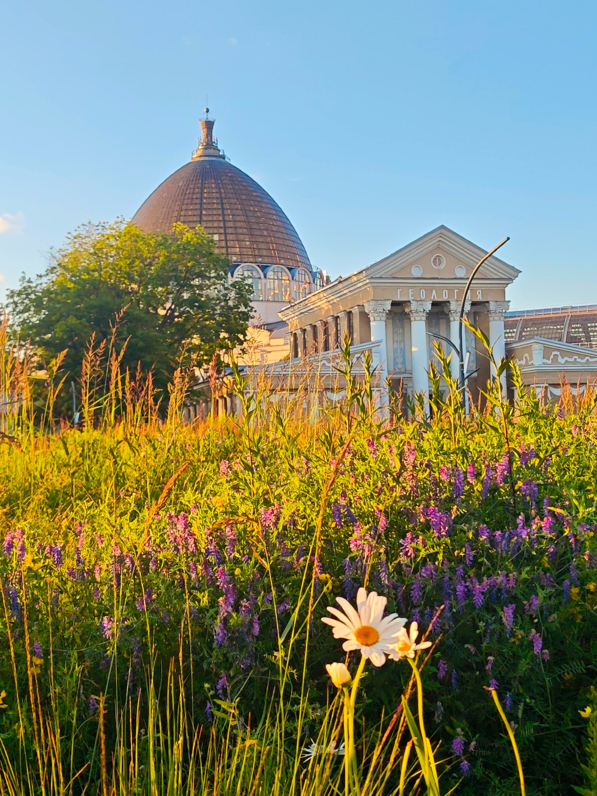 Golden hour in Moscow: parks, landmarks, and wildlife