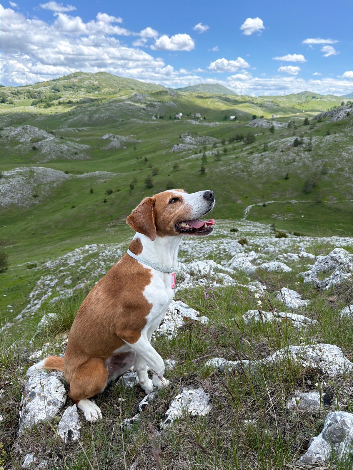 Rural life documented in Javorje, Montenegro countryside
