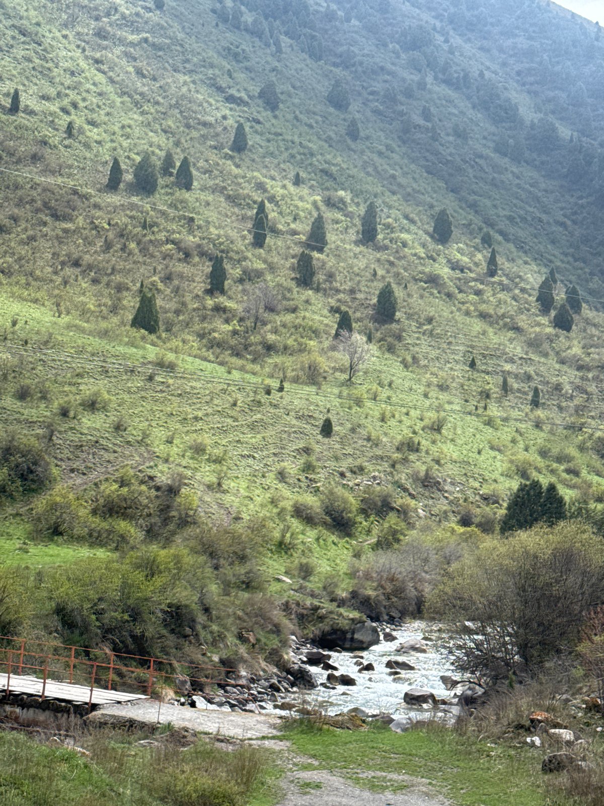 Verdant mountain landscape documented in rural Kashka Suu, Kyrgyzstan