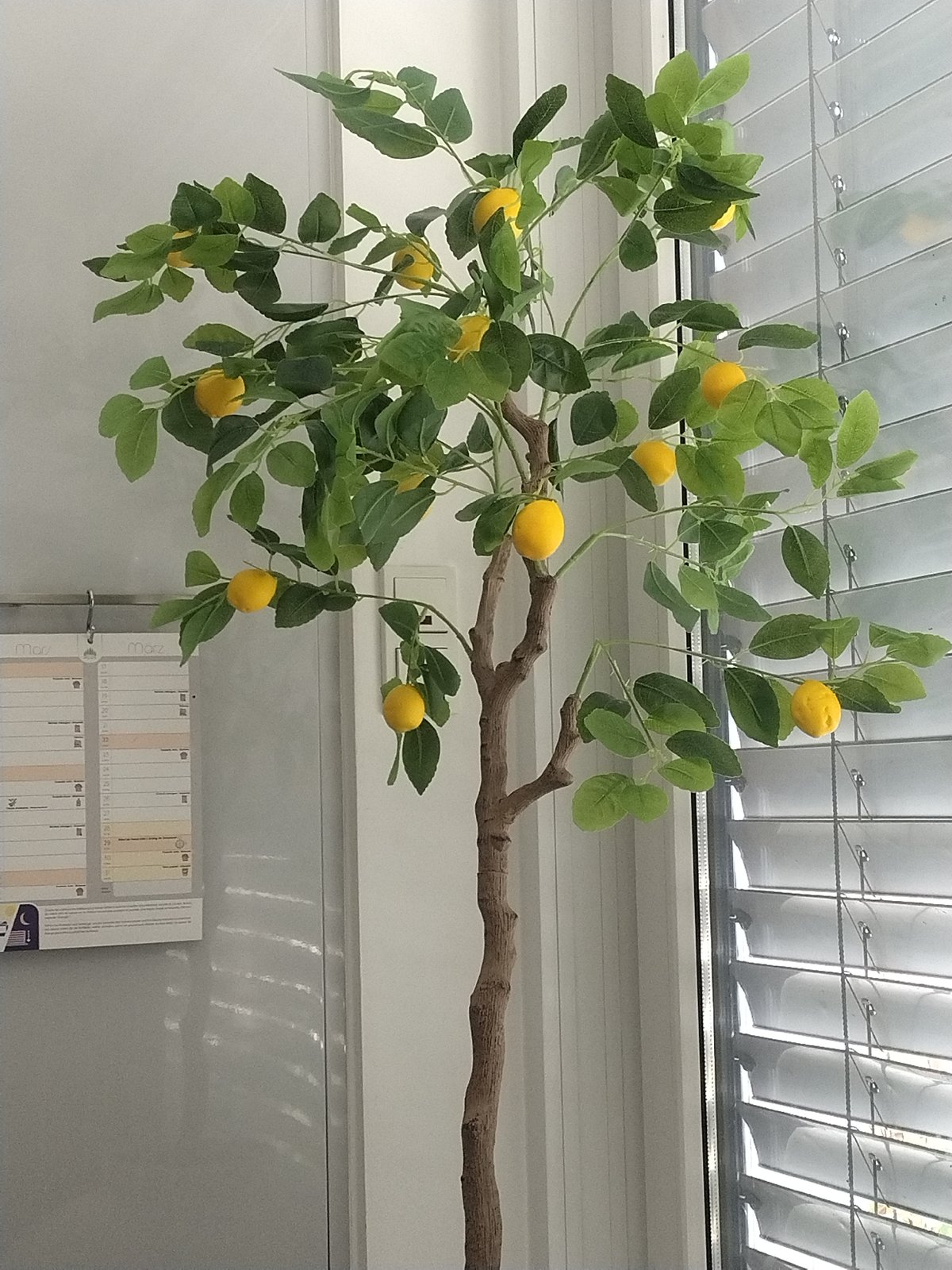 Artificial lemon branch hangs in Crauthem Luxembourg window