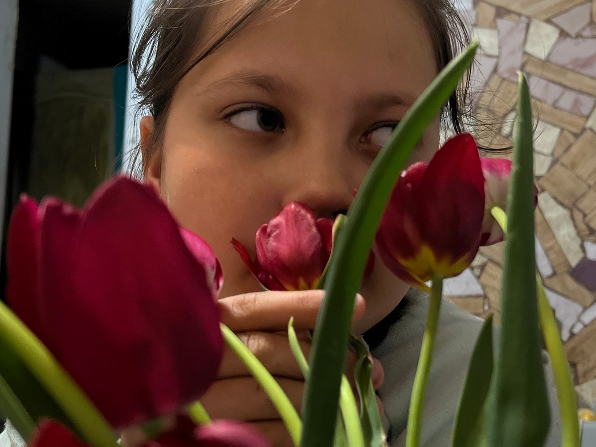 Spring tulip portraits captured in Russian household moments