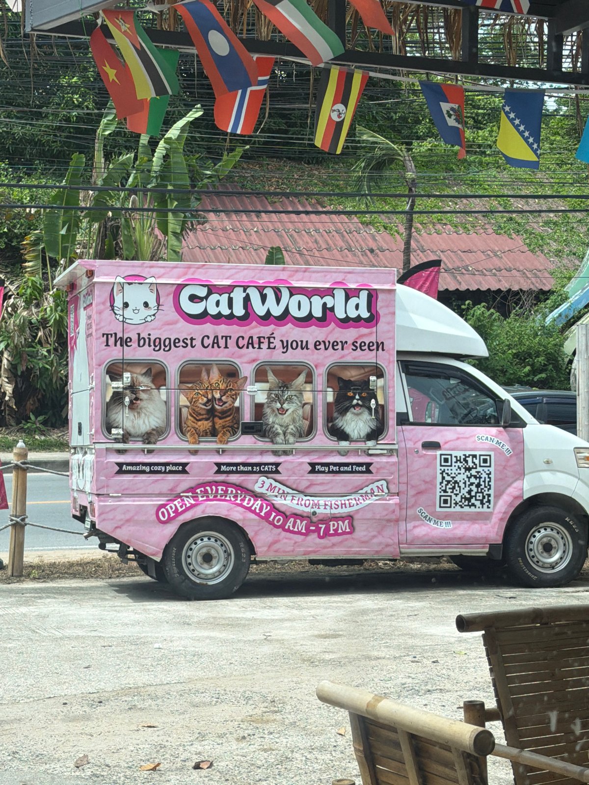 Inside Ko Samui's CatWorld cat café on a quiet morning