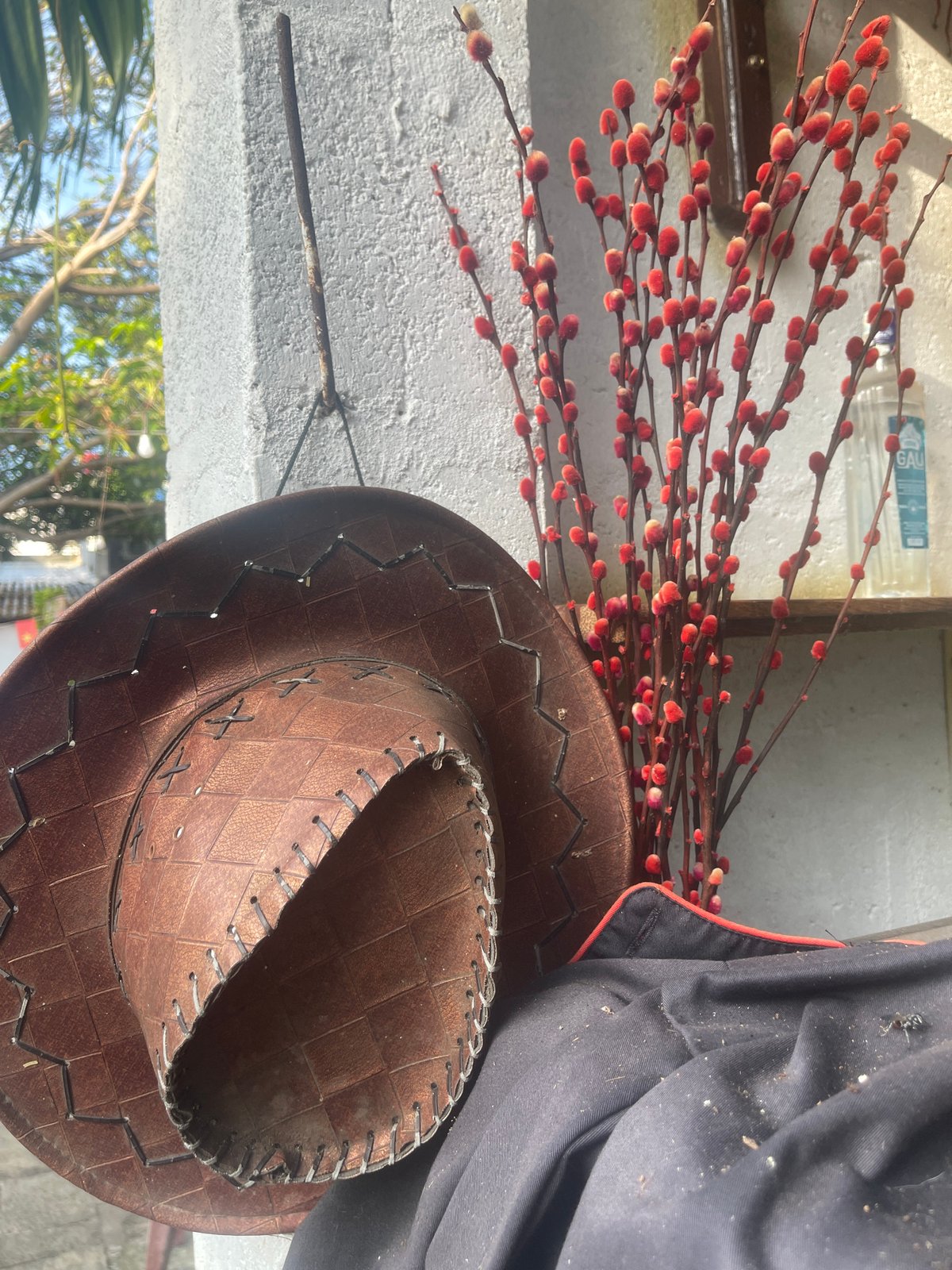 Tourist documents traditional Vietnamese garden displays in Phan Thiet