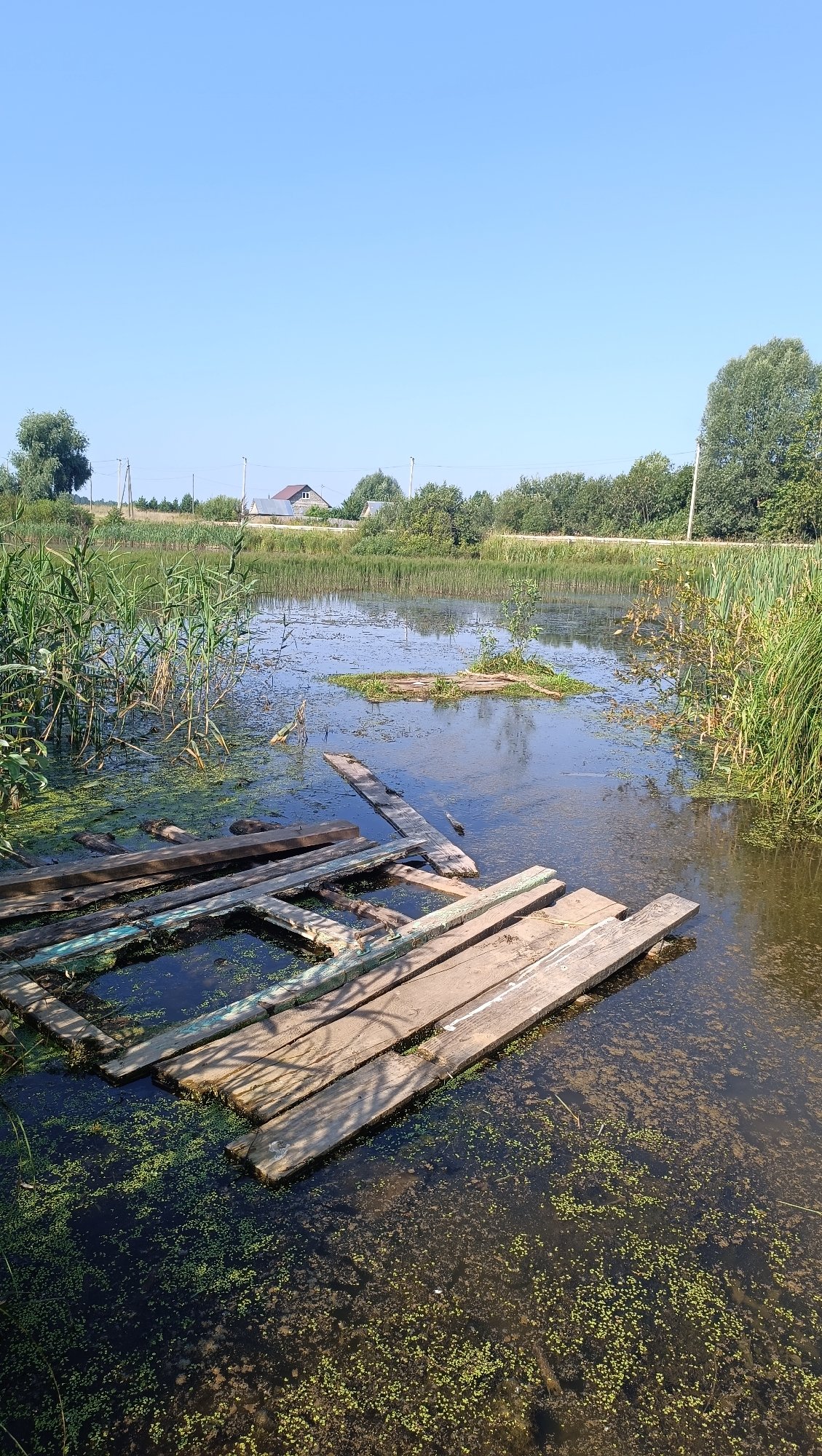 Lazy summer day at a rural Russian homestead, pond and all