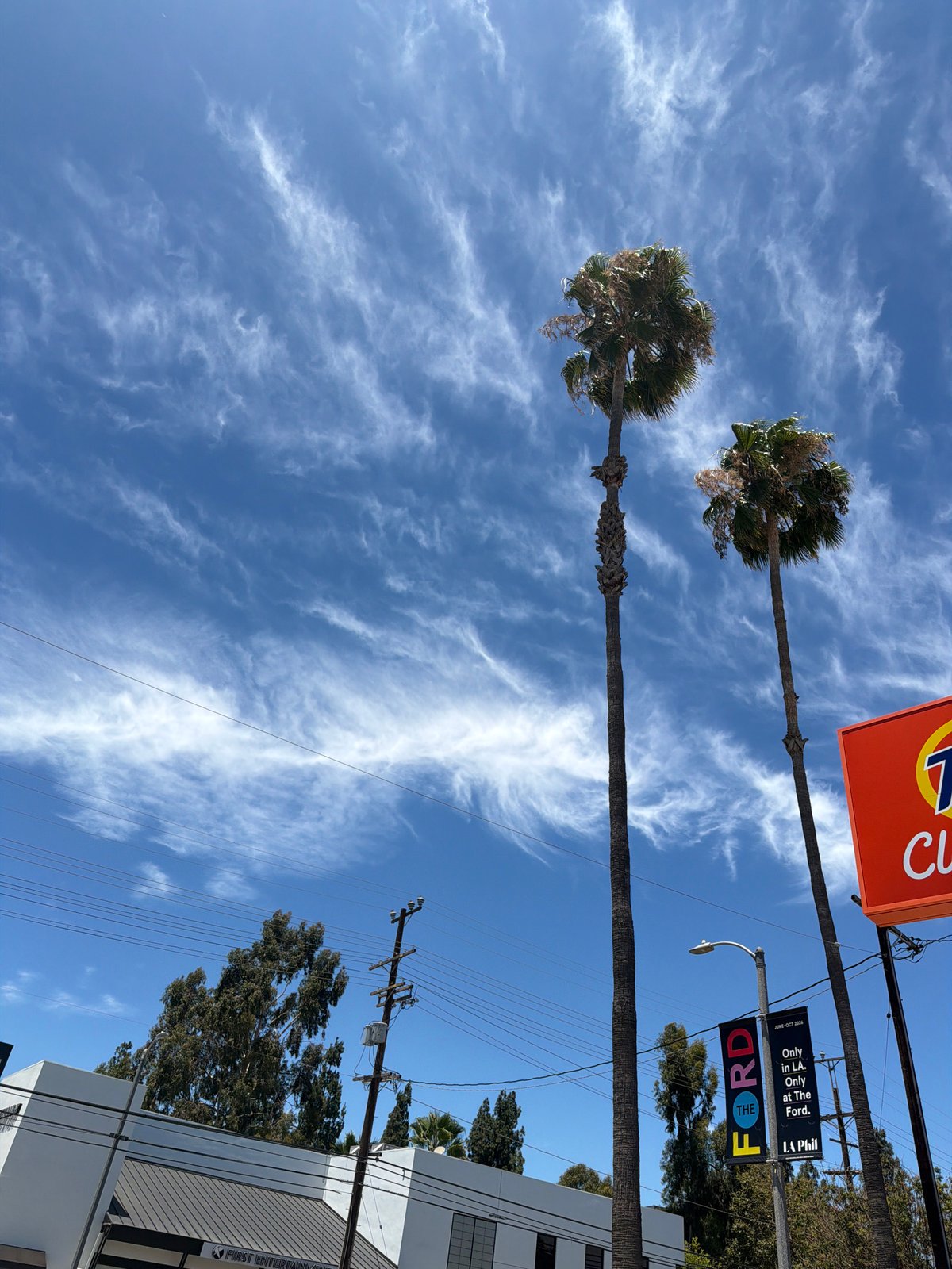 Palm trees and a billboard under a clear LA sky