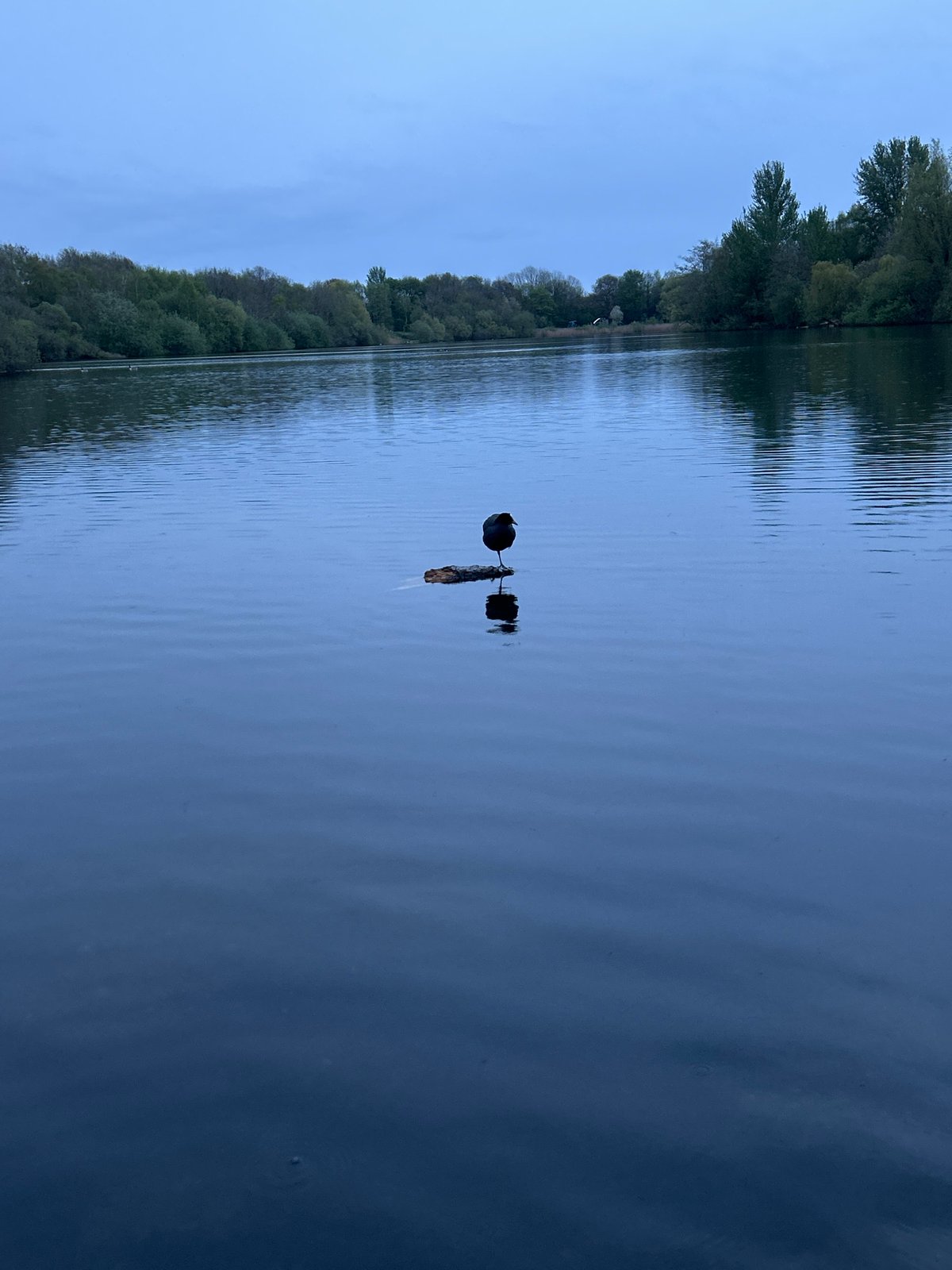 Peaceful waterway scene documented in Manchester evening