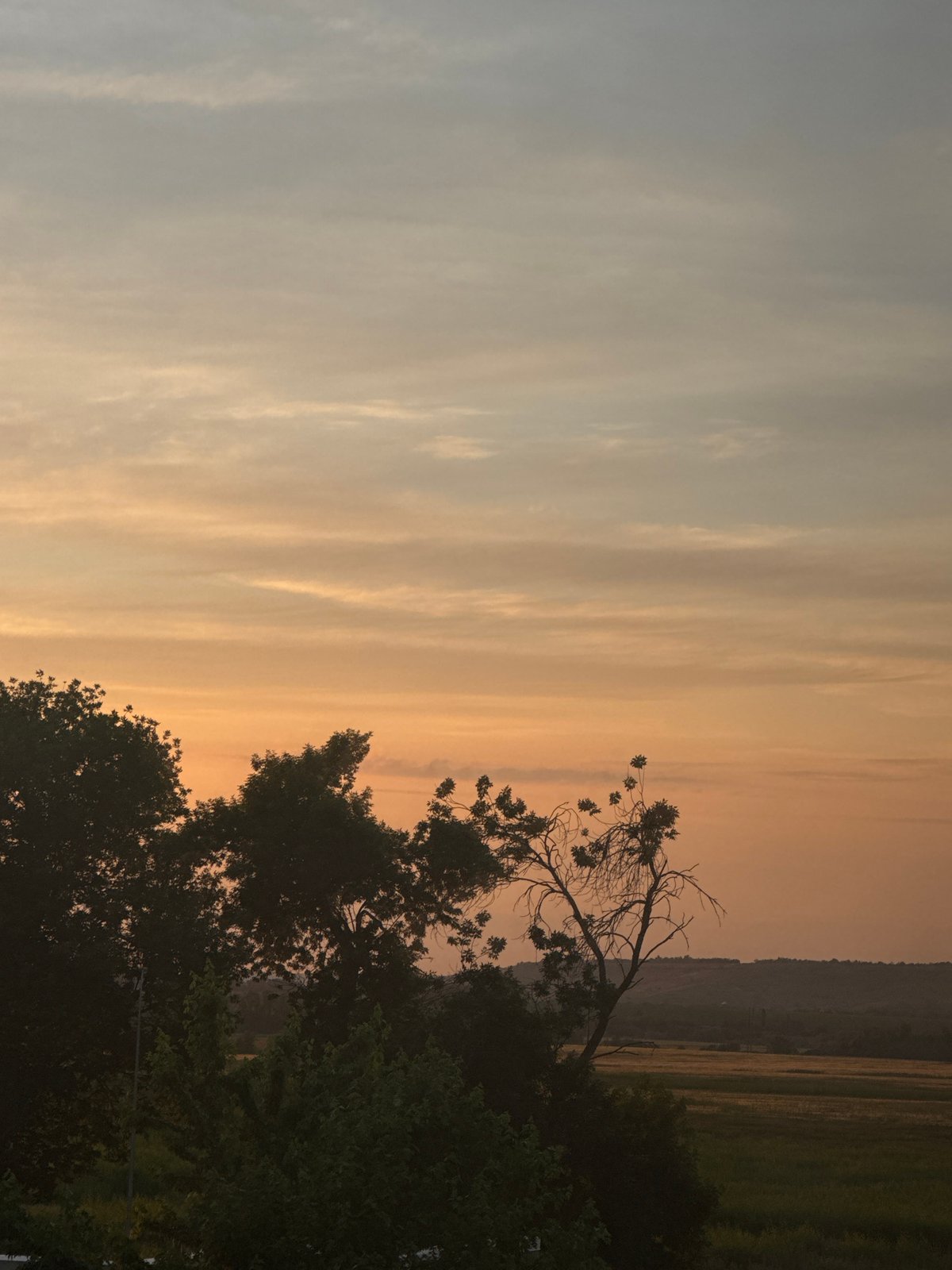 Mikhaylovsk sunset, rooftops, power lines, and quiet home life.