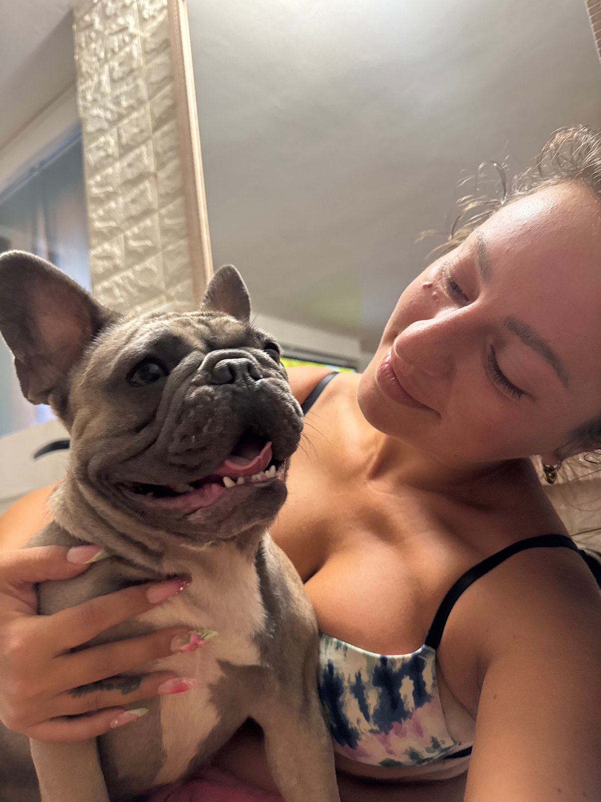 French Bulldogs living their best life in an Italian home