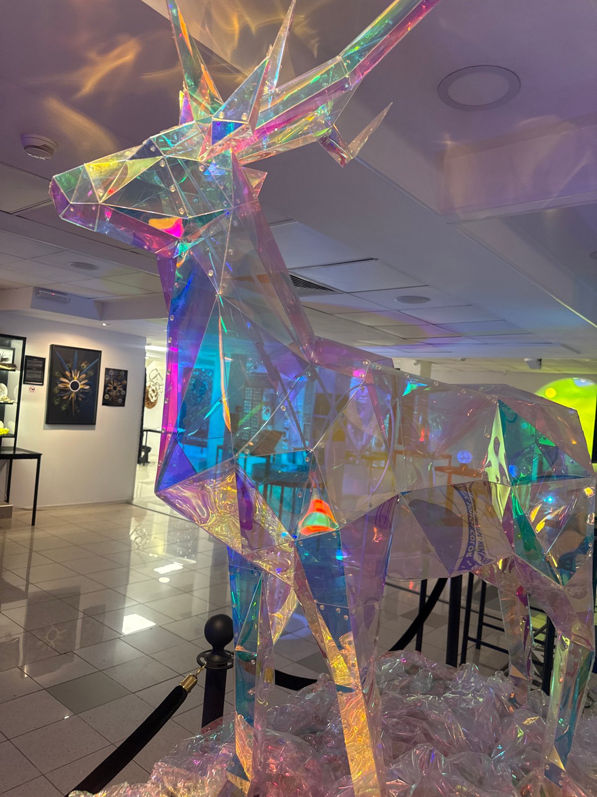 Sofia science museum exhibits documented during afternoon visit