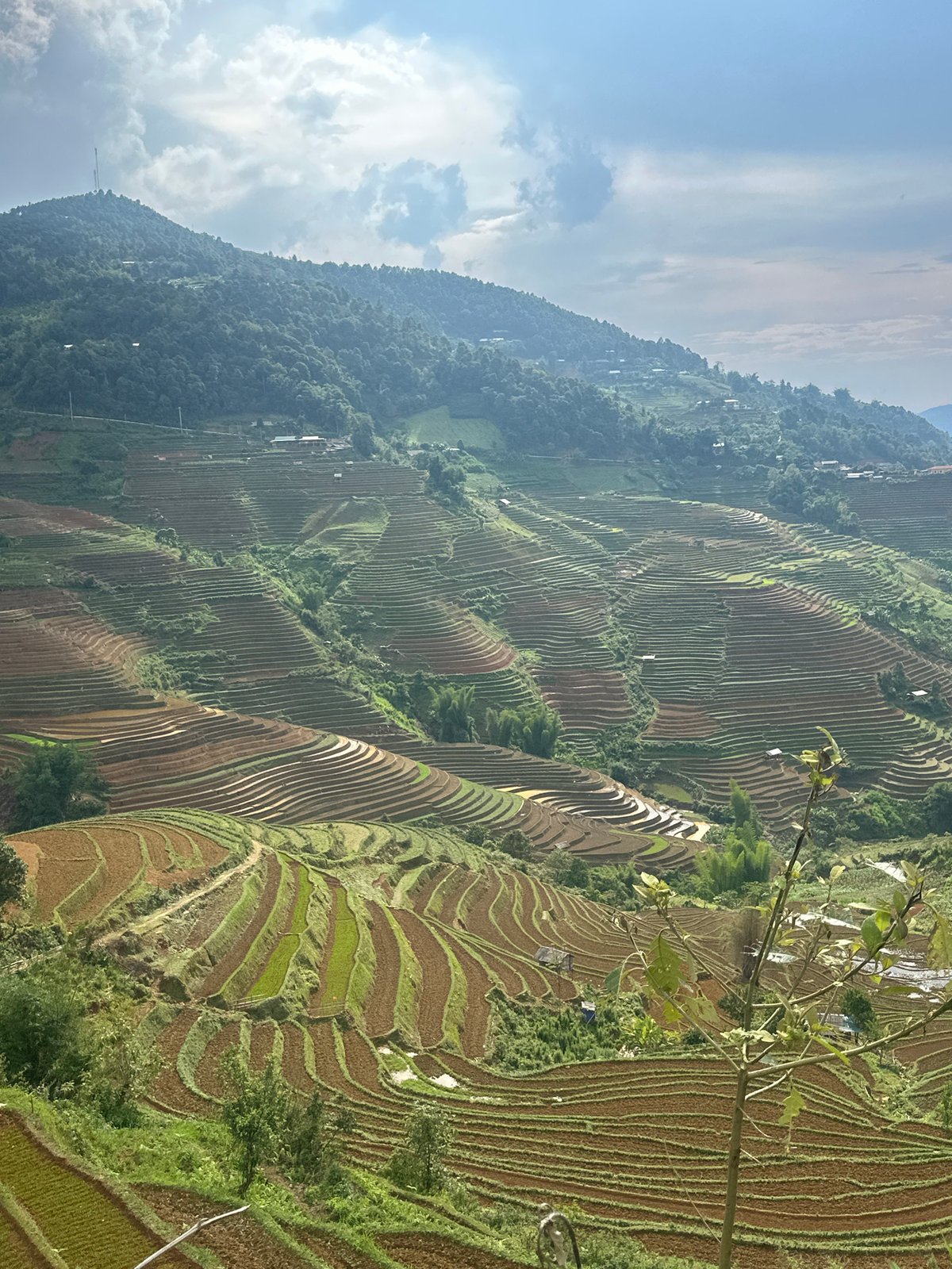 Tourist documents terraced rice fields in Lao Chai Vietnam