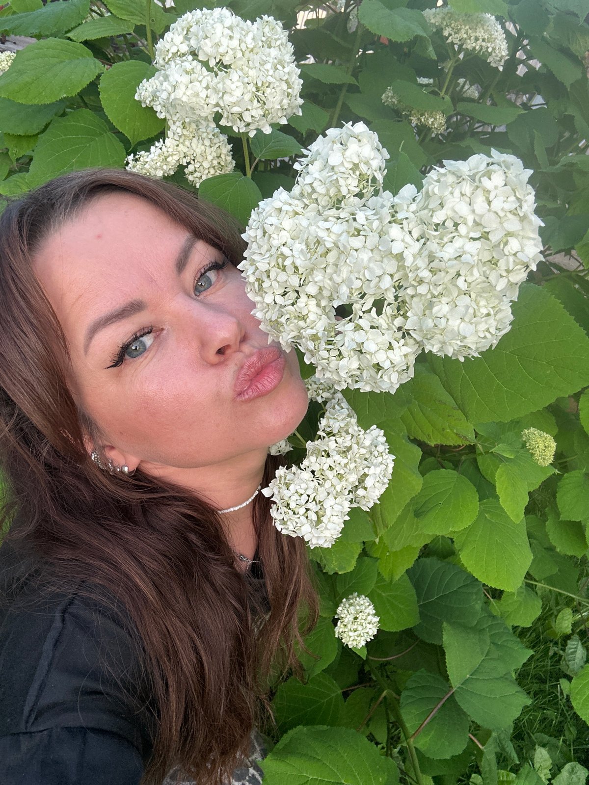 Lazy summer afternoon in a Russian garden with hydrangeas and a dog