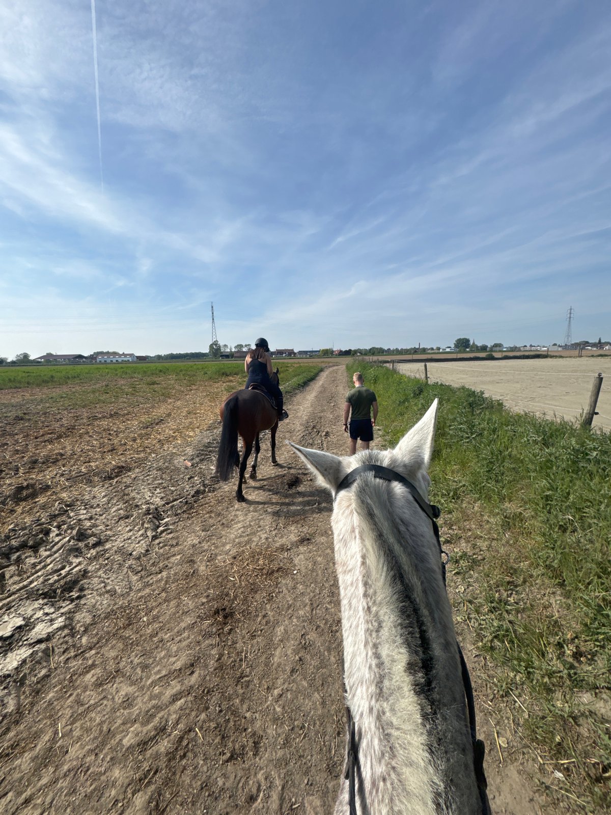 Horseback riders traverse dirt trail in Belgian countryside