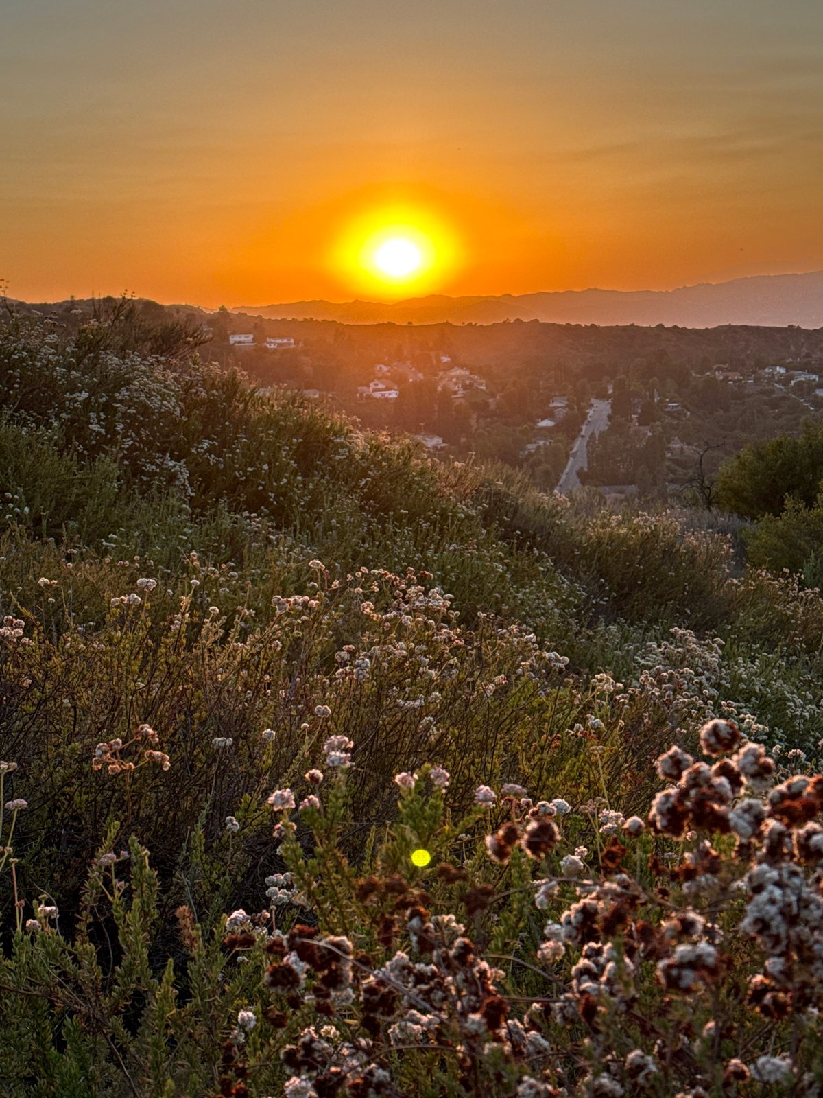 LA hillside sunset, multiple angles, golden hour