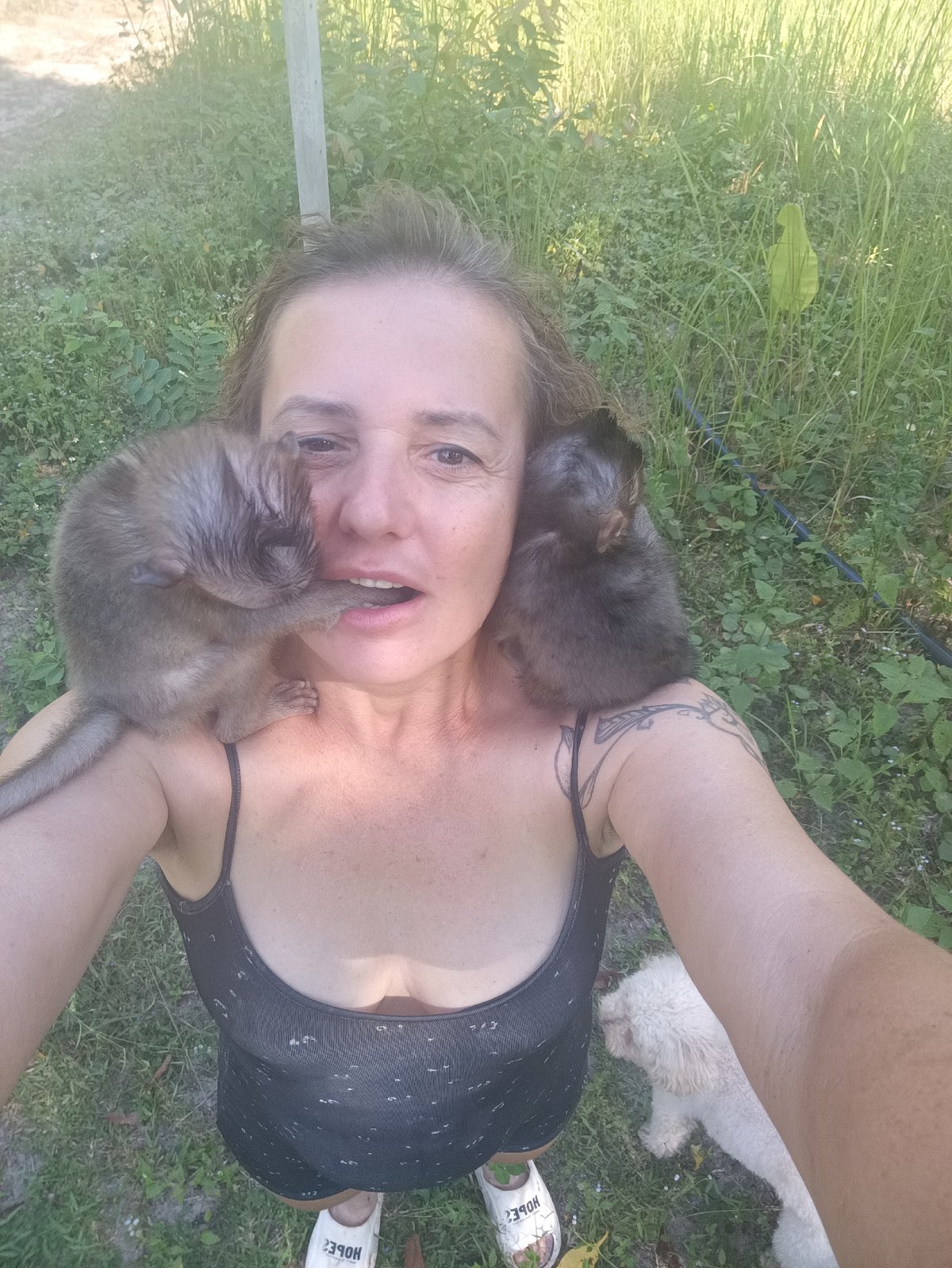 Tourist encounters monkeys, dogs and cats in Thai village