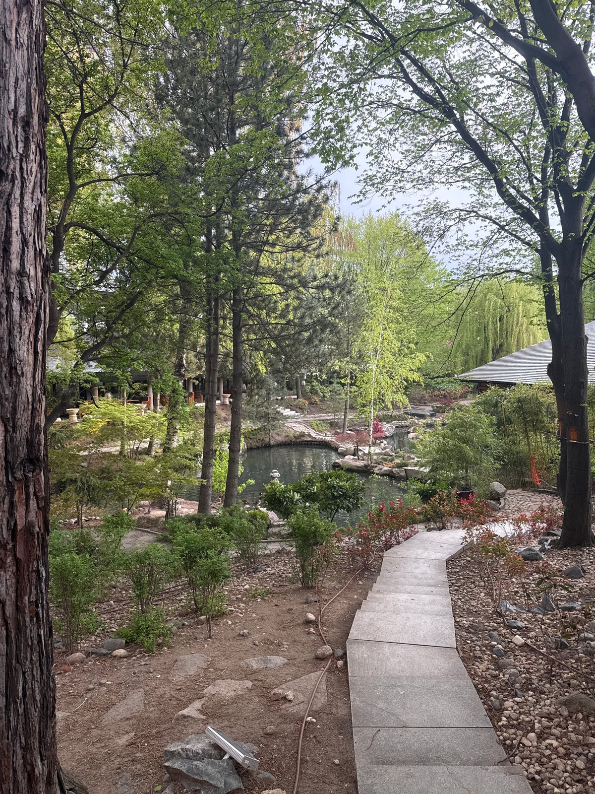 Peaceful garden scene with water feature captured in Sofia