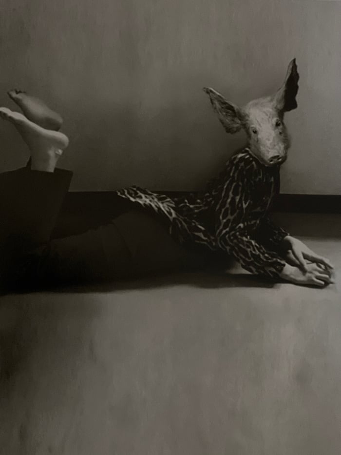 Surreal animal-human composite art series documented in Tel Aviv