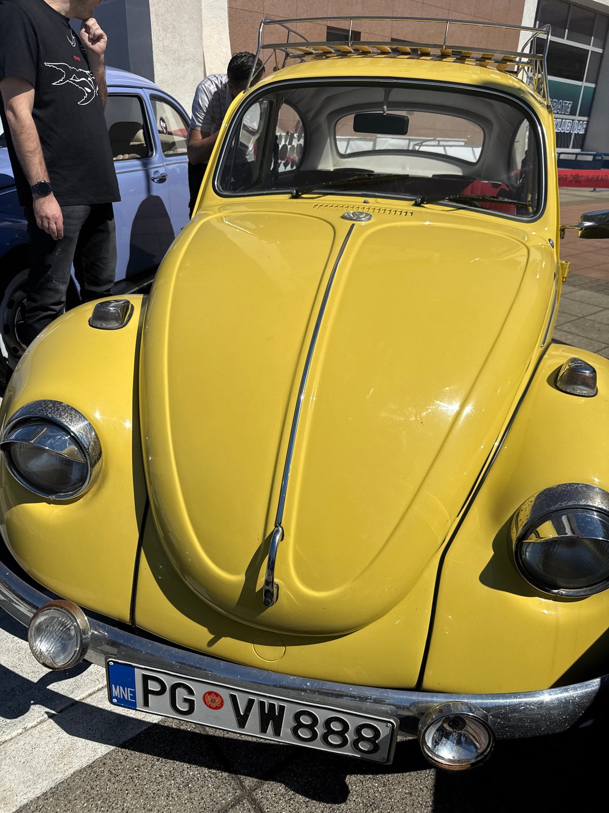 Car enthusiasts gather for automotive display event