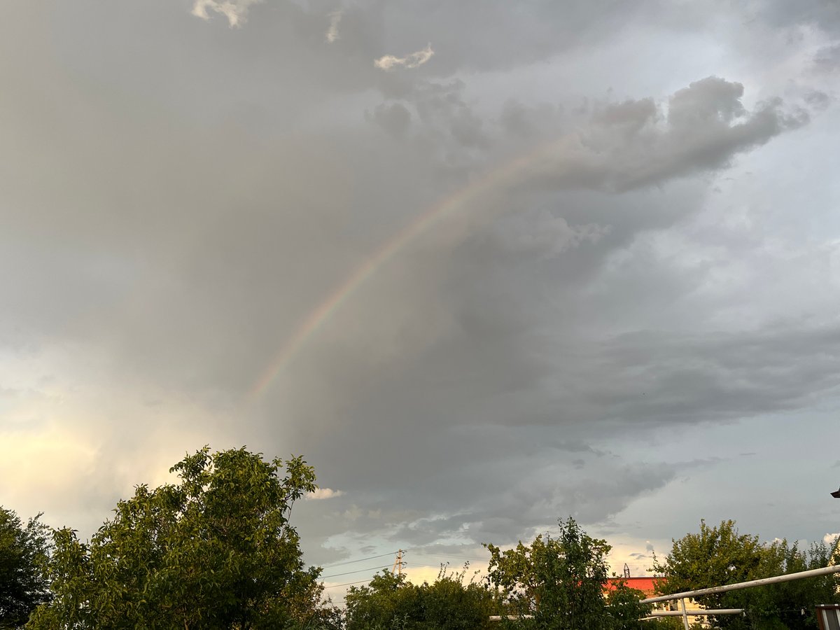 Grasshoppers, spiders, and rainbows in a Russian village backyard