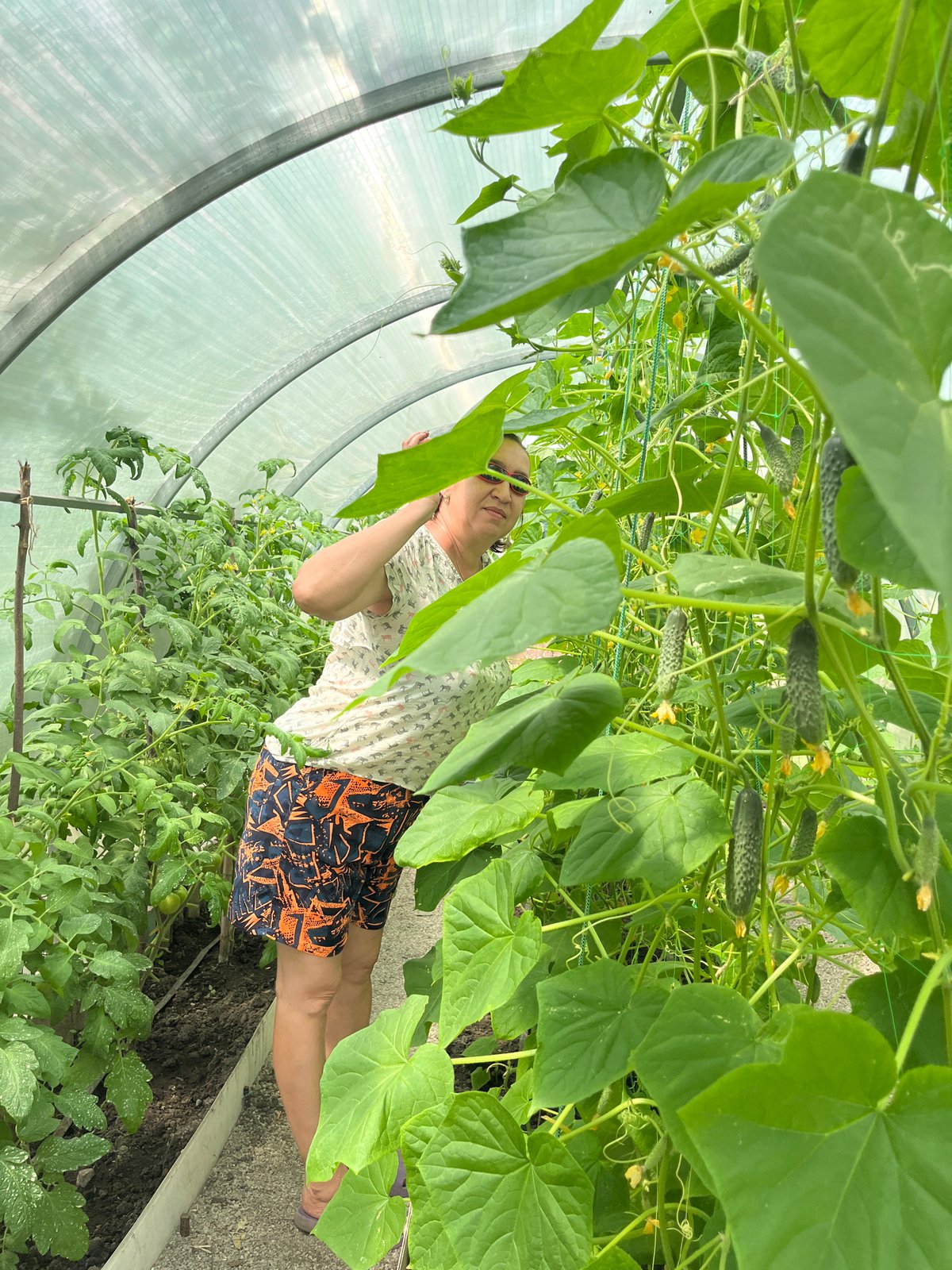 Greenhouse visits, insects, and backyard exploration on a summer morning