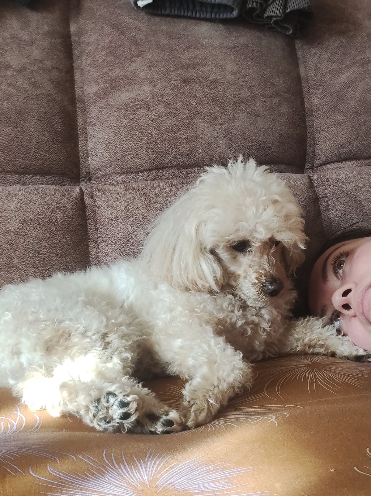 Quiet family moments with woman, baby, poodle captured in Russia