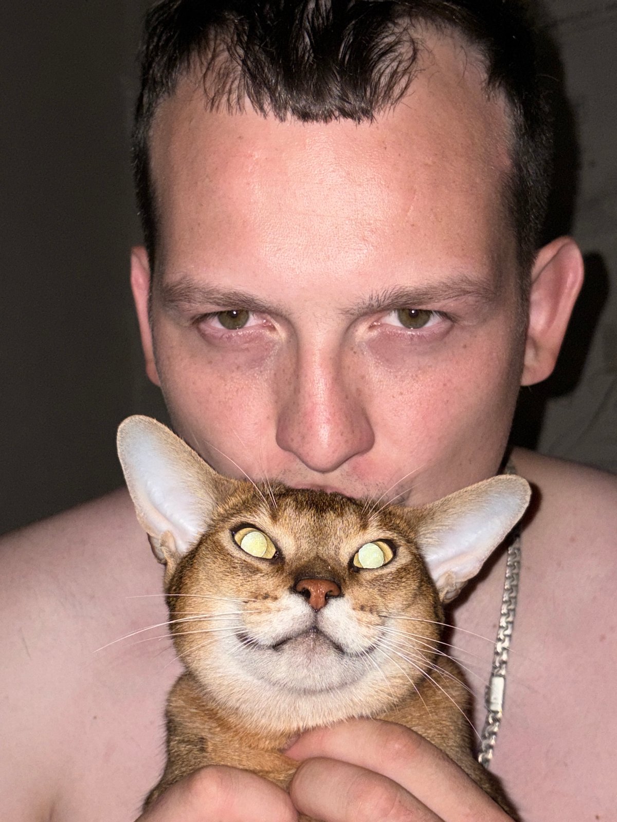 Hanging out with Abyssinian cats at home in Chaikovsky
