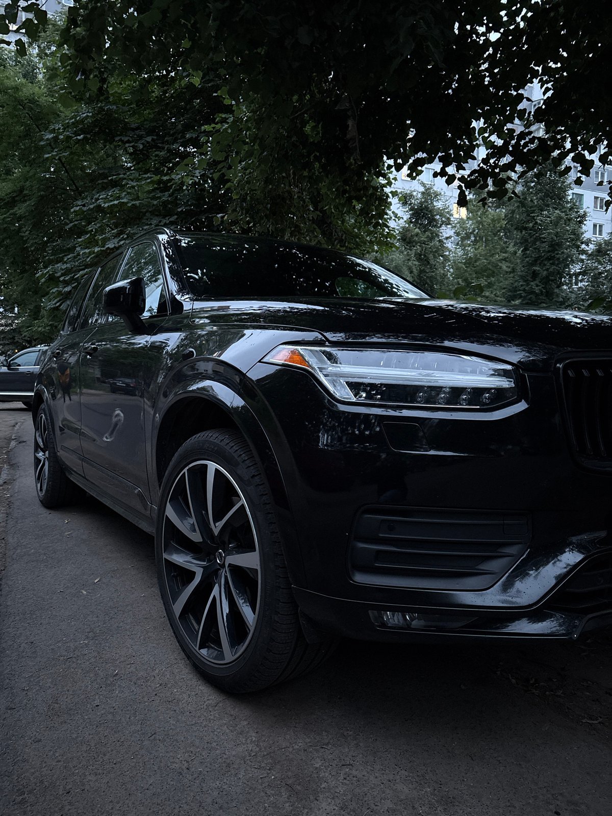 Vitsebsk residential streets at dusk, cars and garden flowers