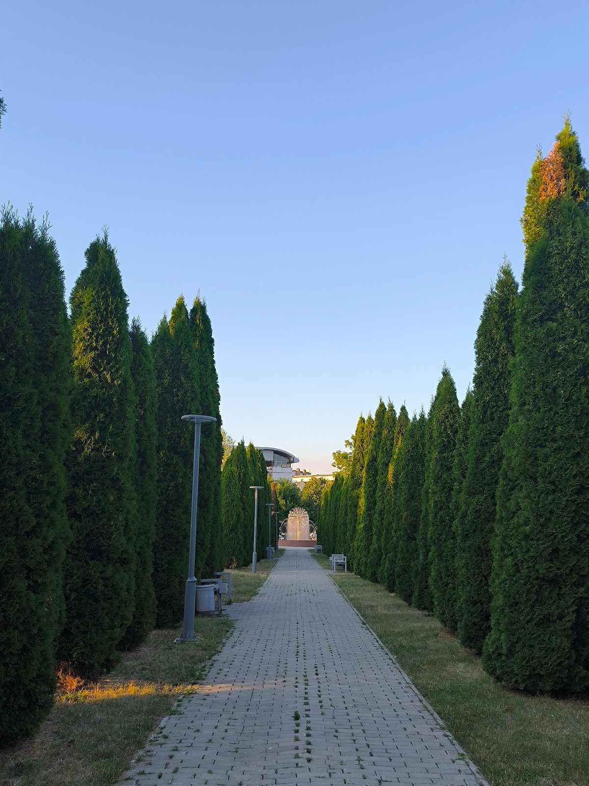 Symmetrical evergreen promenade leads to fountain in Chișinău park
