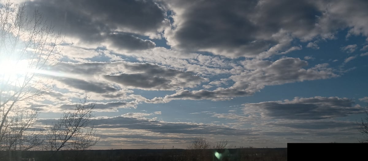 Cloudy sky with sunlight and bare tree observed