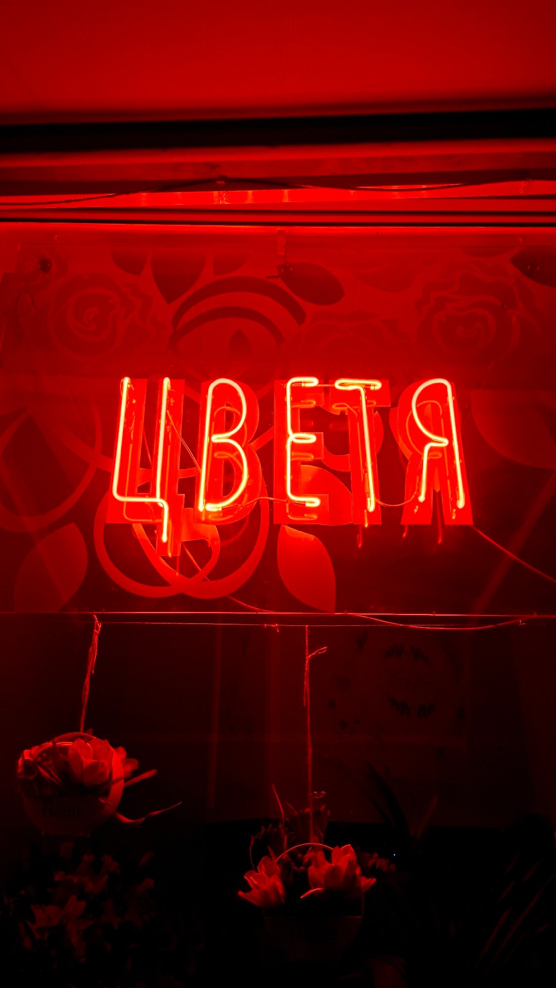 Sofia after dark: theatre, football, and neon streets
