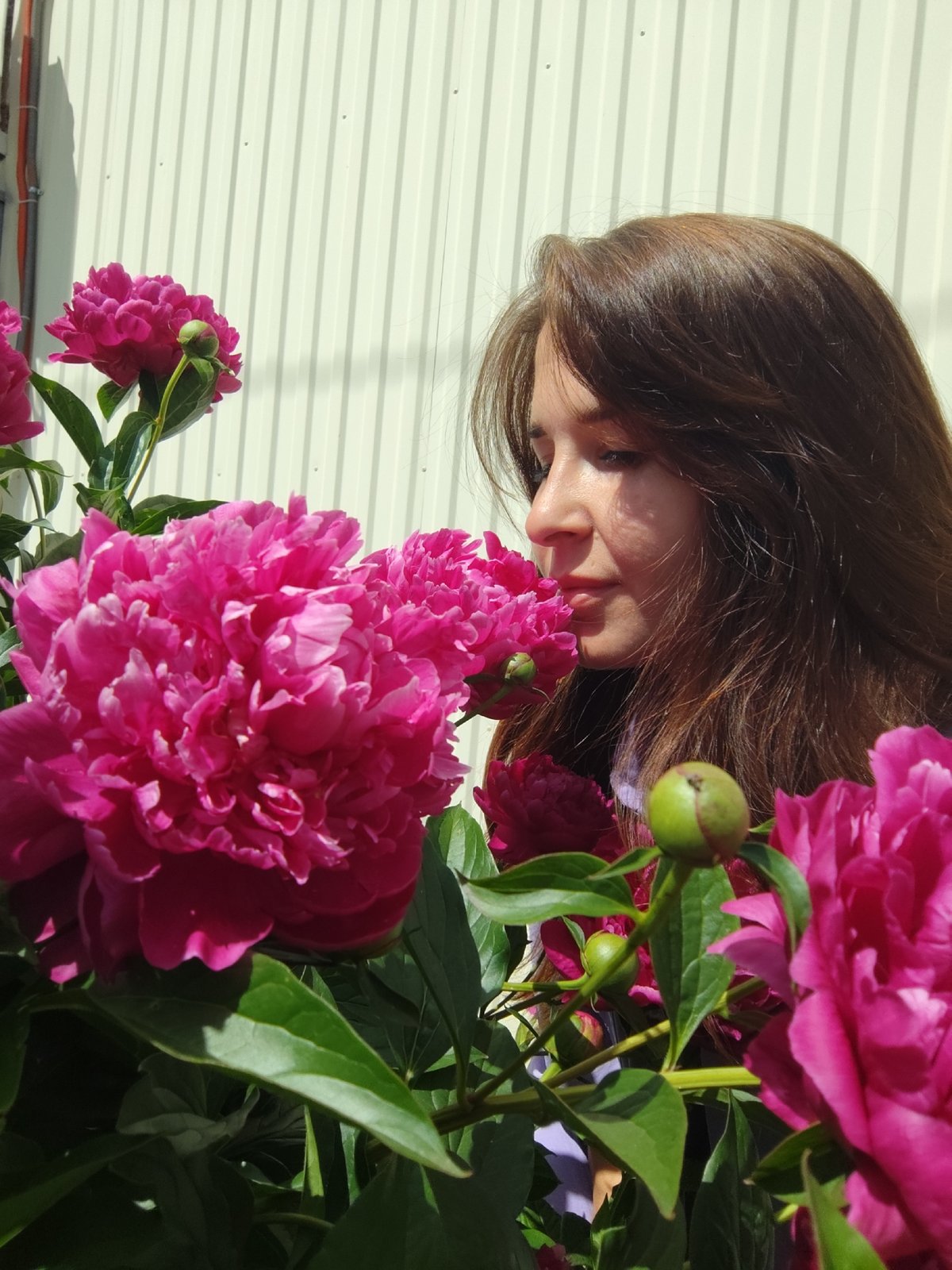 Photo session documented in Fokino, Russia over morning hours