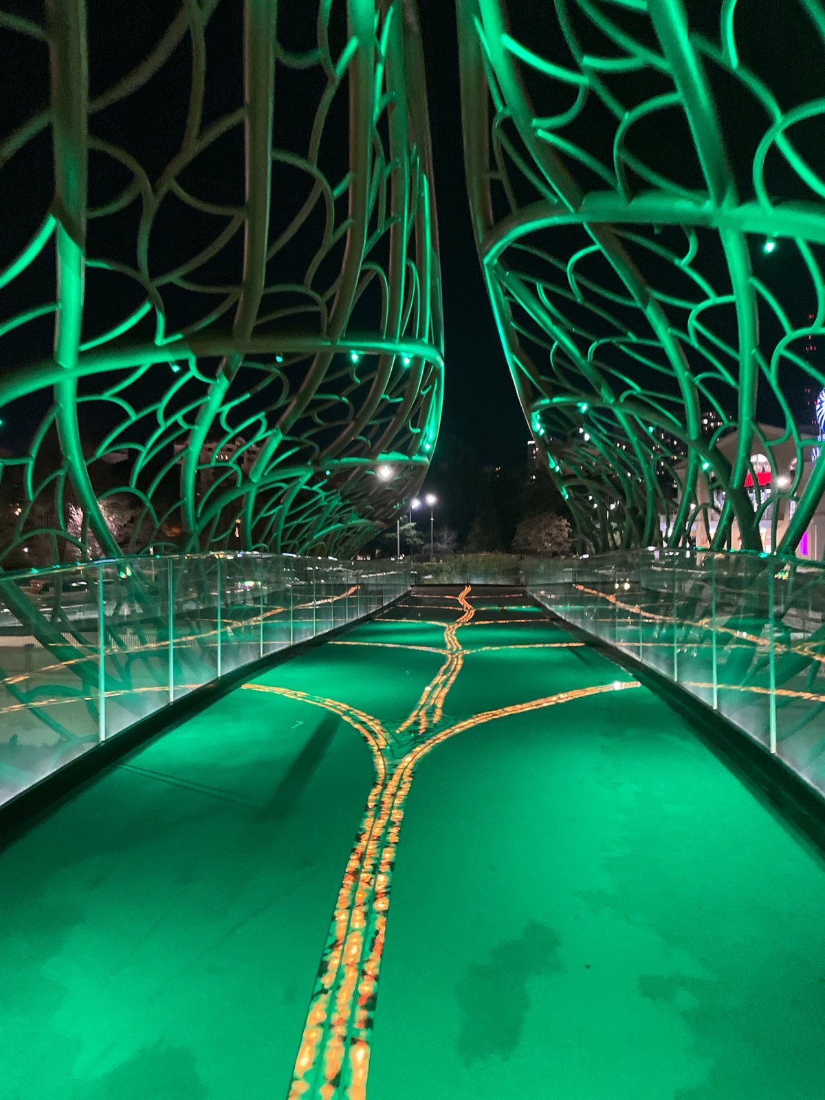 Illuminated Fig Tree Gallery Bridge documented in Sochi
