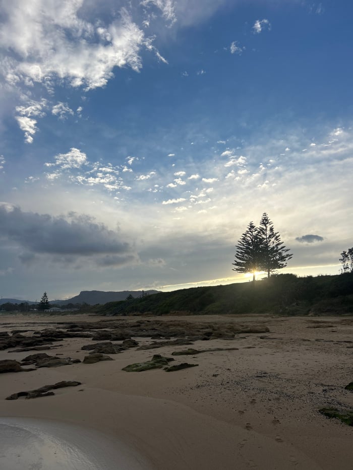 Morning beach outing documented at Bulli, Australia with dog