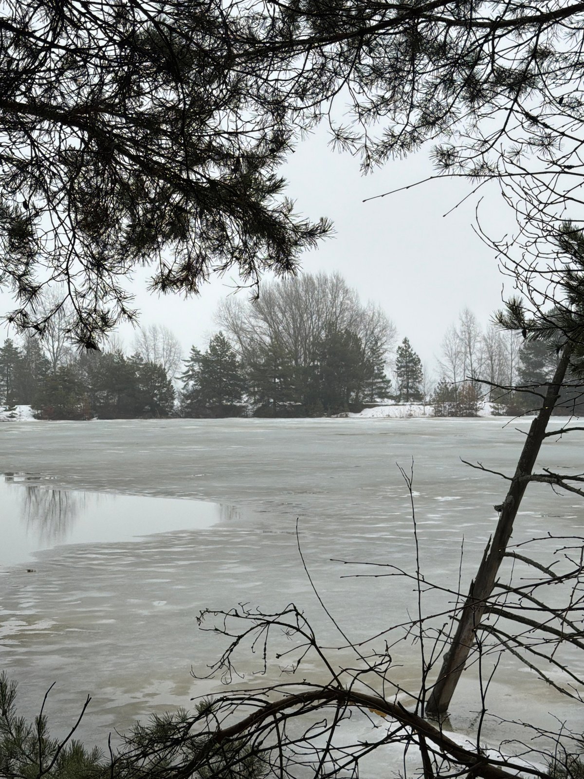 Spring thaw documented in Noviy, Russia through nature observations