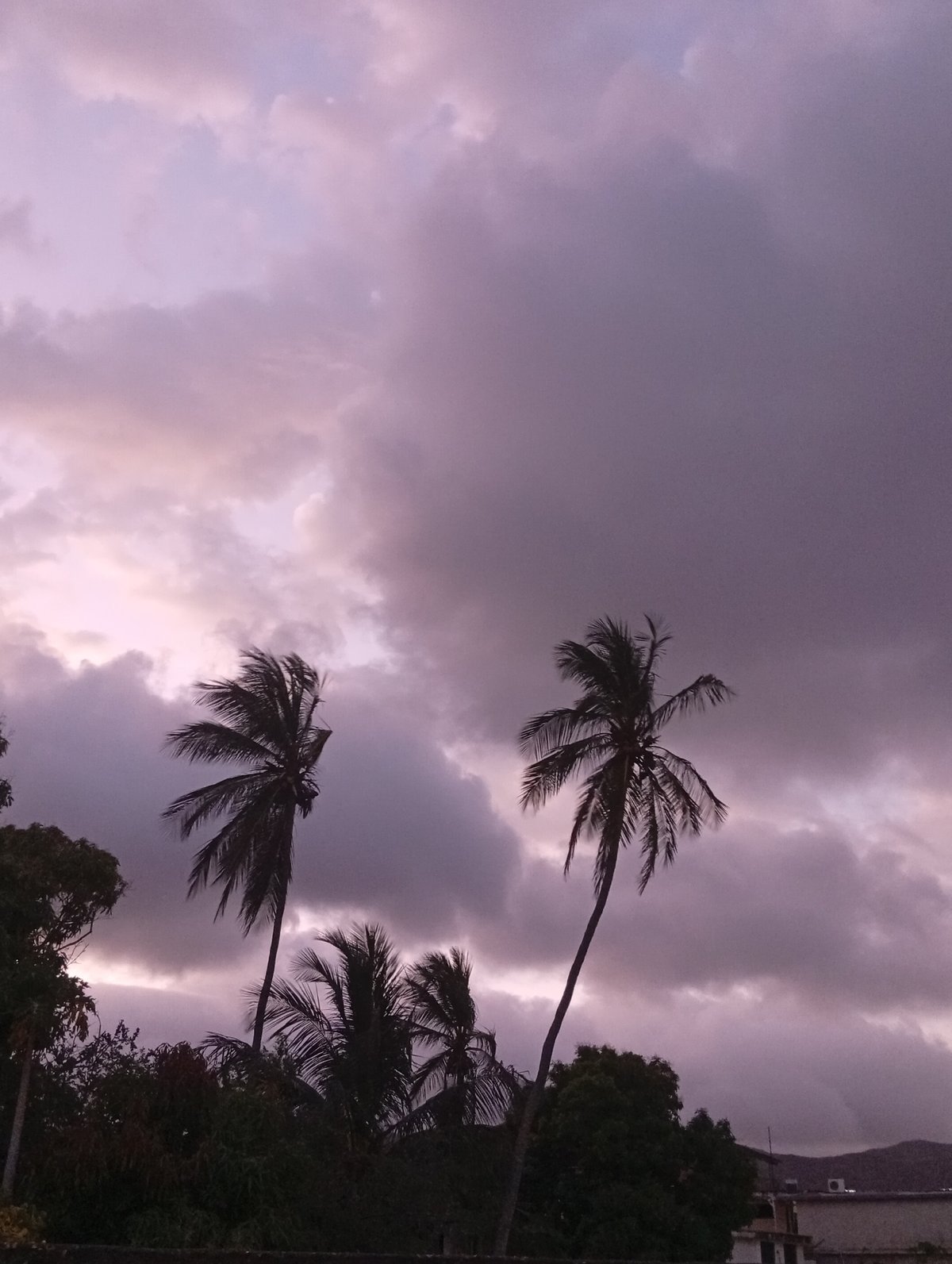 Dramatic purple twilight clouds observed over La Asuncion, Venezuela