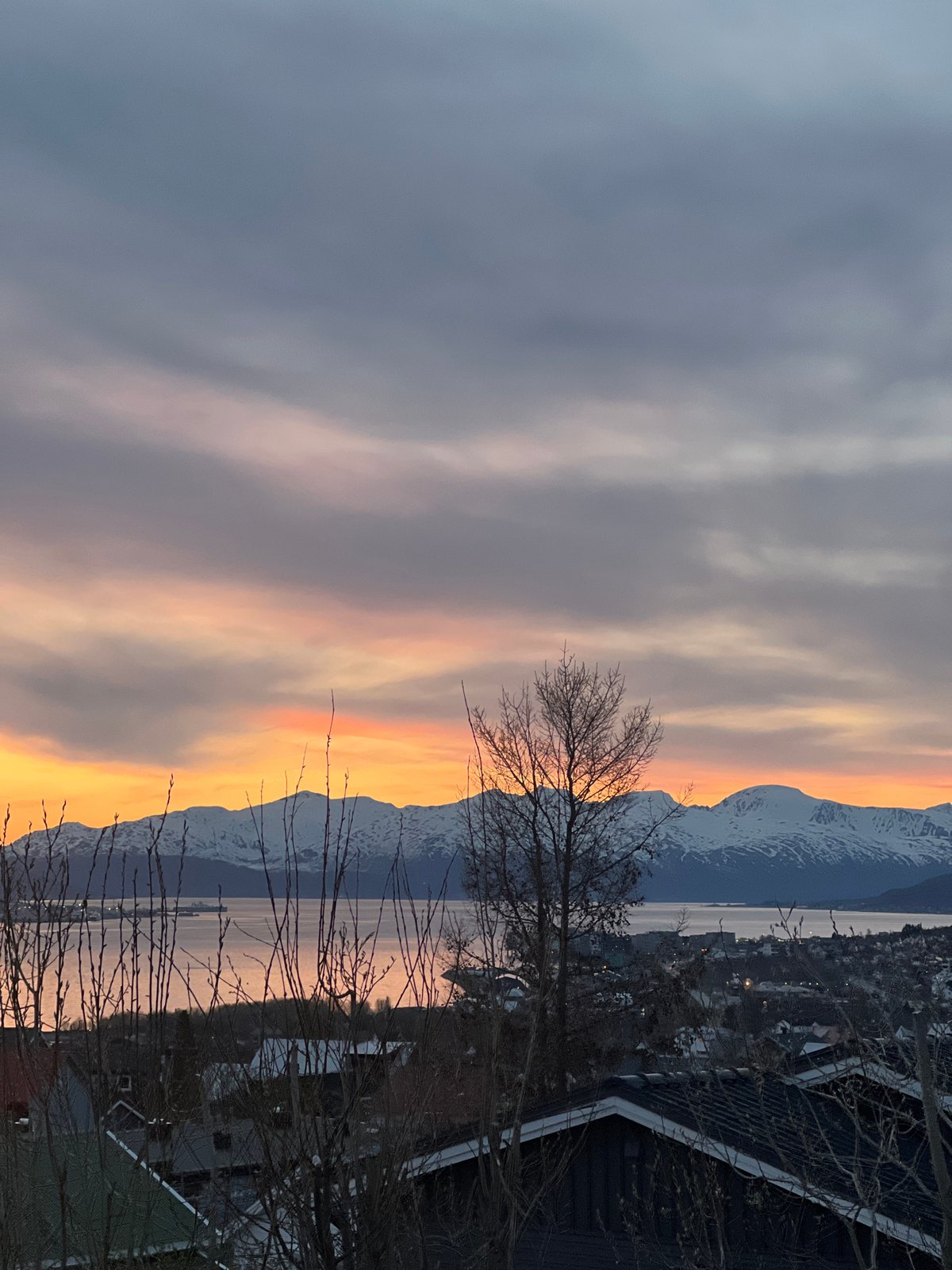 Evening bus rides capture Tromsø sunset views