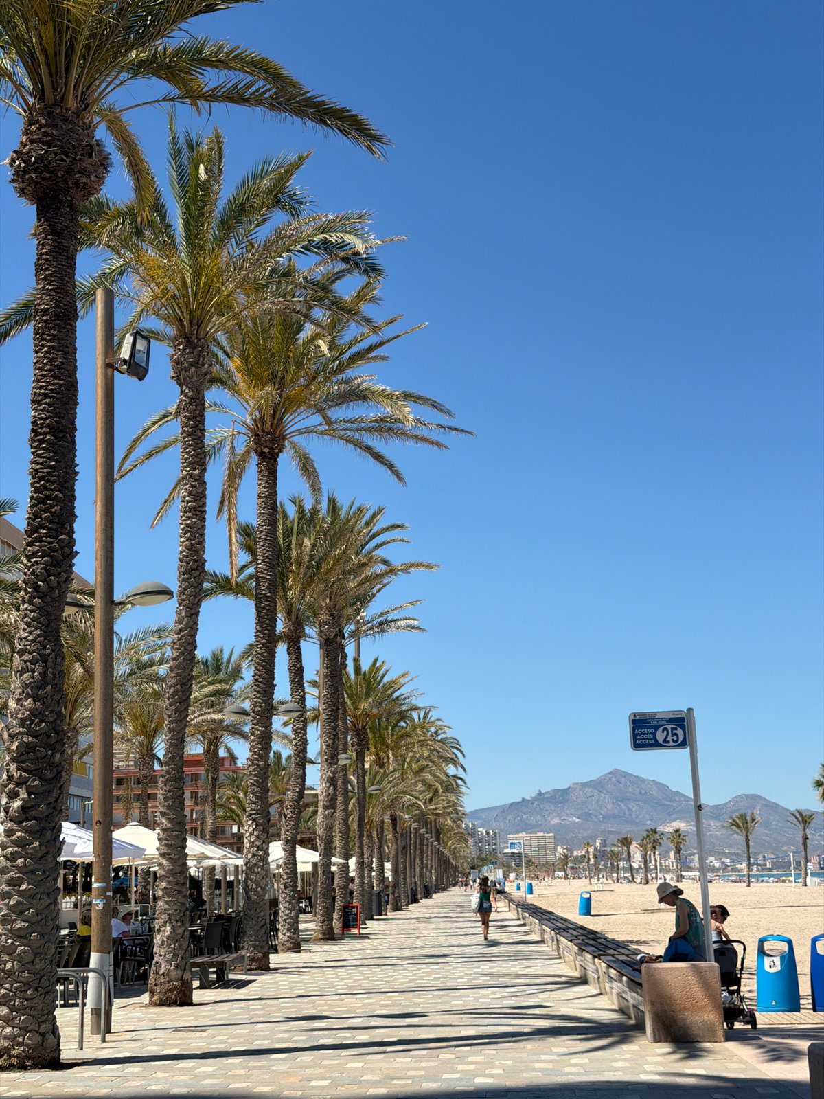 Afternoon scenes captured along Alicante's palm-lined coastal promenade